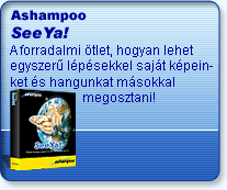Ashampoo® SeeYa! (v1.53, 01.01.2002)
