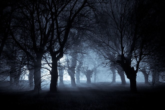 In der Nacht sind wir schutzlos In der Nacht sind wir schutzlos