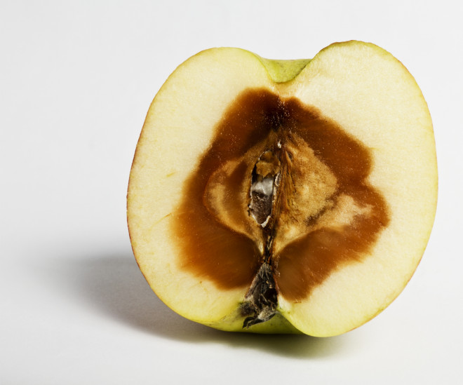 Mancher Apfel ist von innen faul Mancher Apfel ist von innen faul