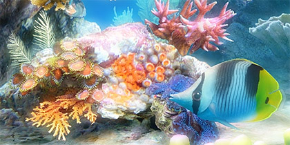 free live fish tank hd screensavers