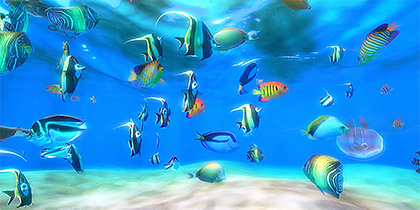 aquarium live hd screensaver