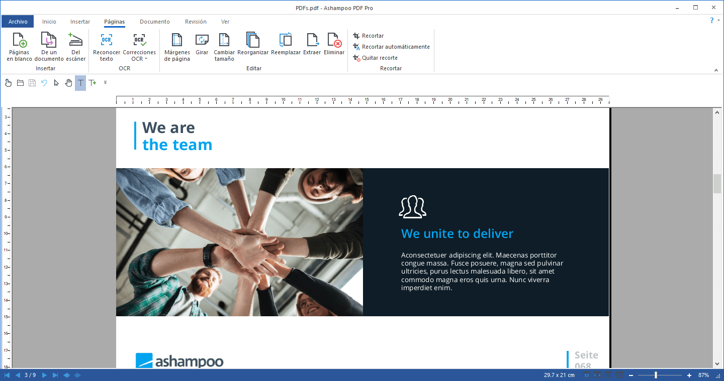 Ashampoo - PDF Pro 3 - pages