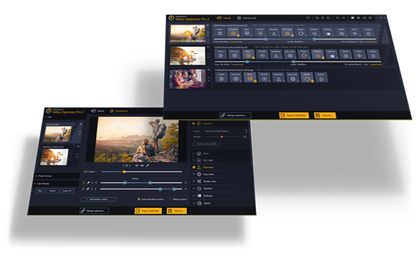 Ashampoo® Video Optimizer Pro 2 - 