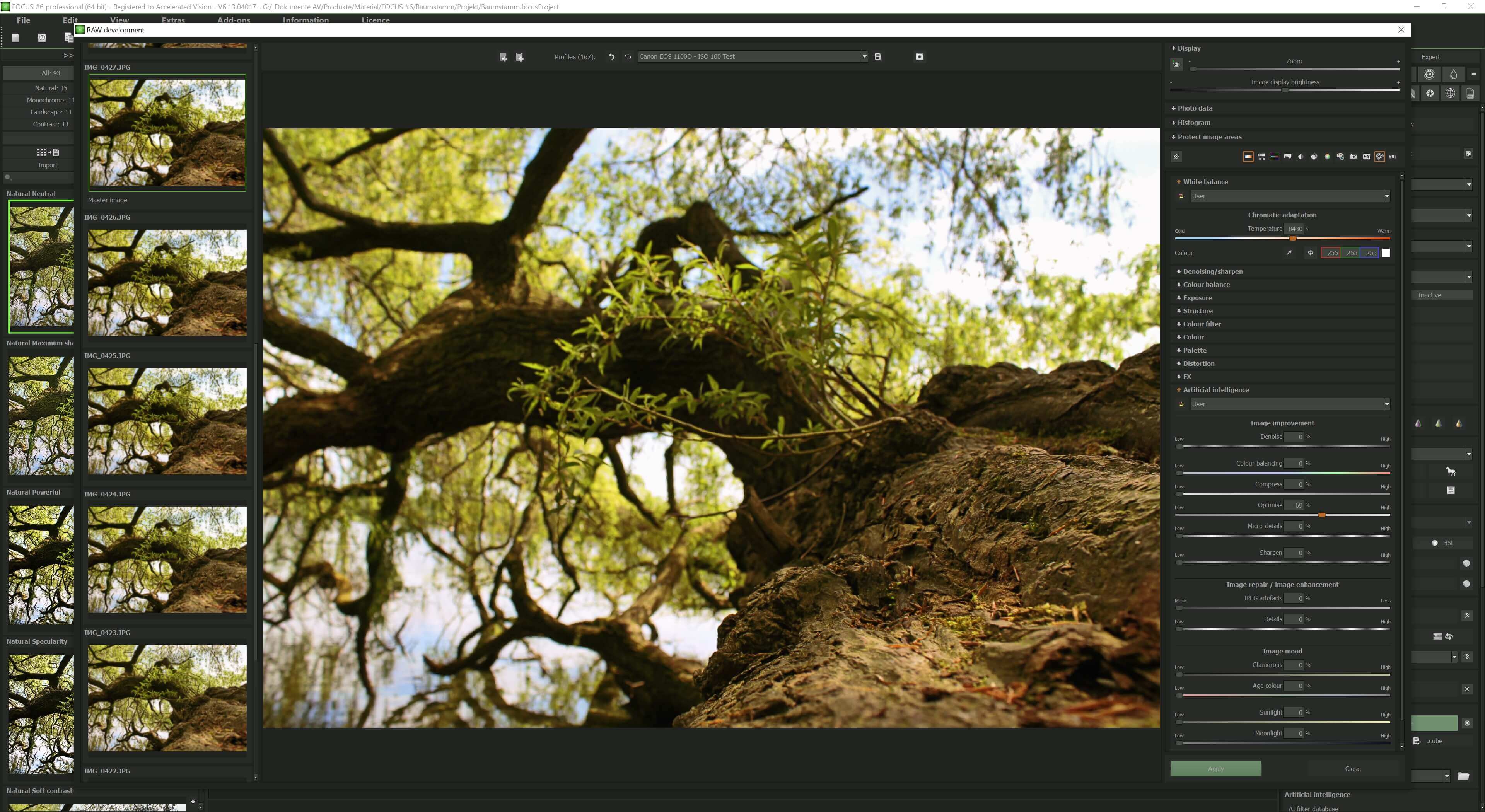 FOCUS #6 professional - RAW