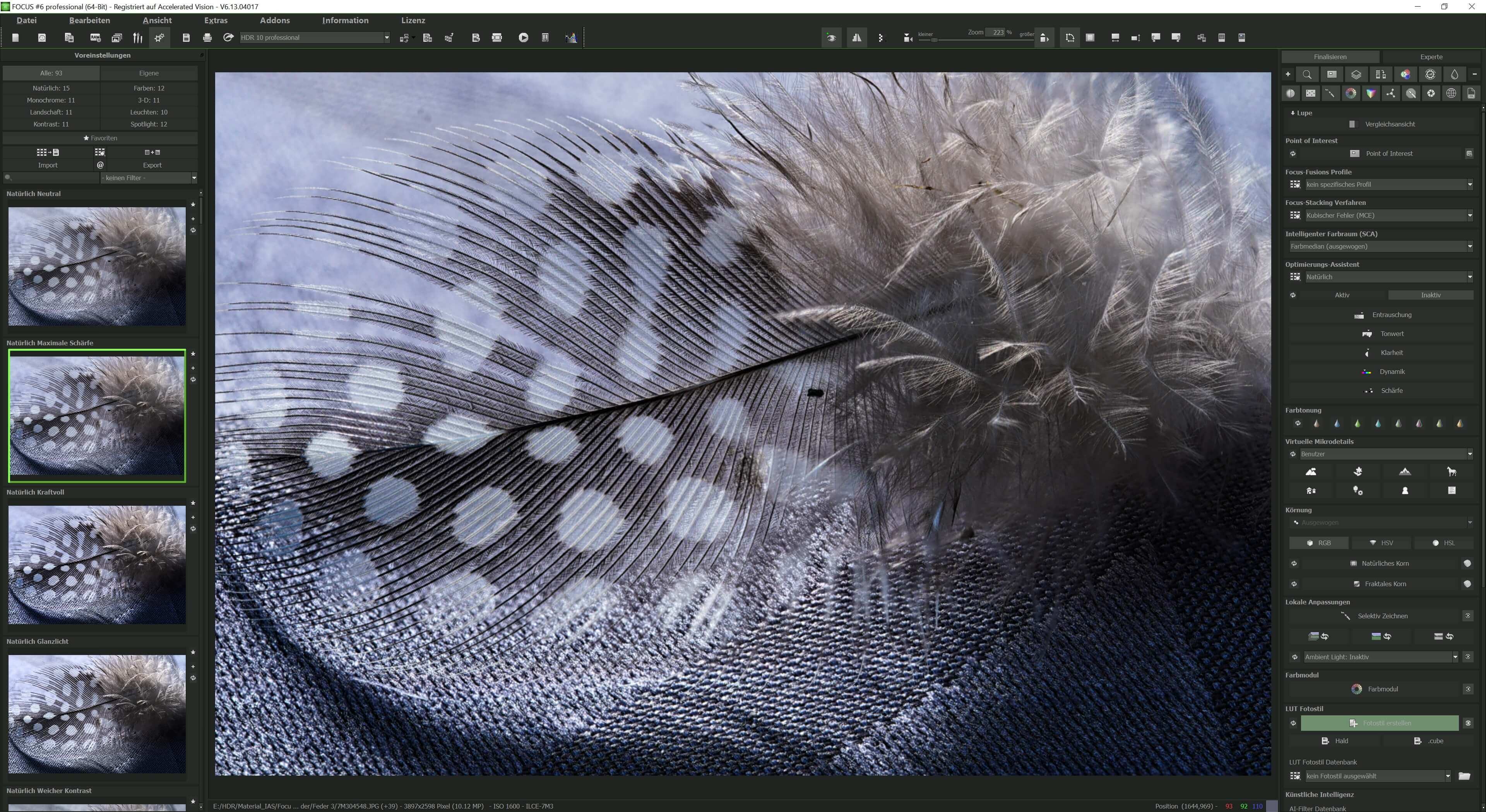 FOCUS #6 professional - Start