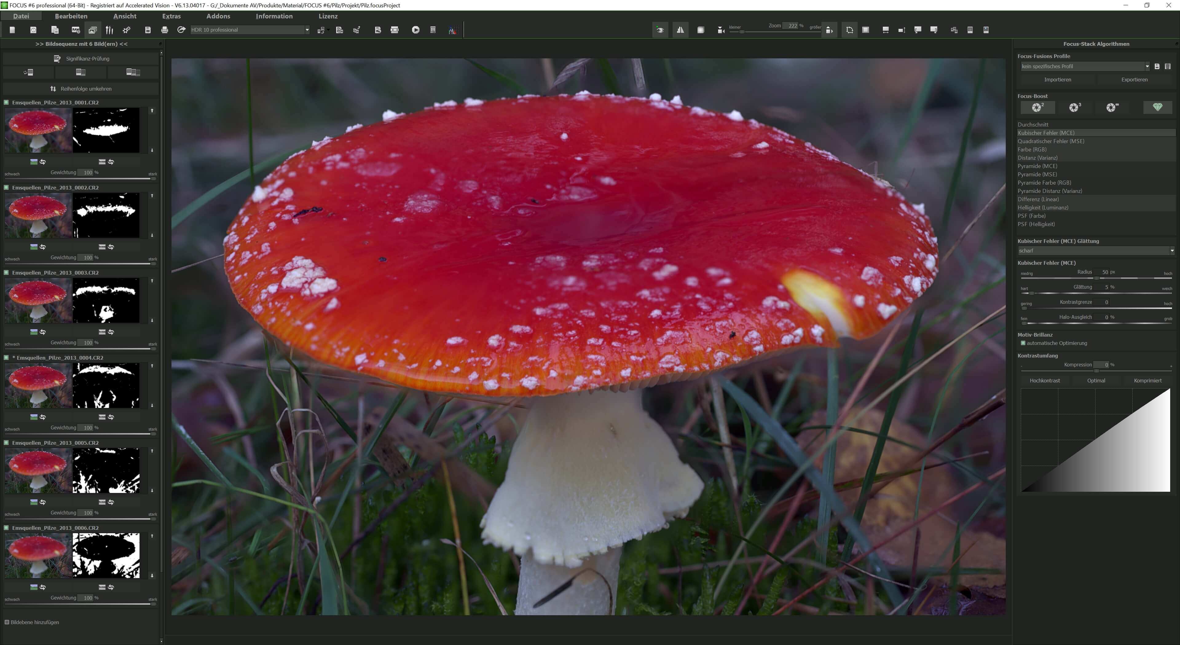 FOCUS #6 professional - Focus Stacking