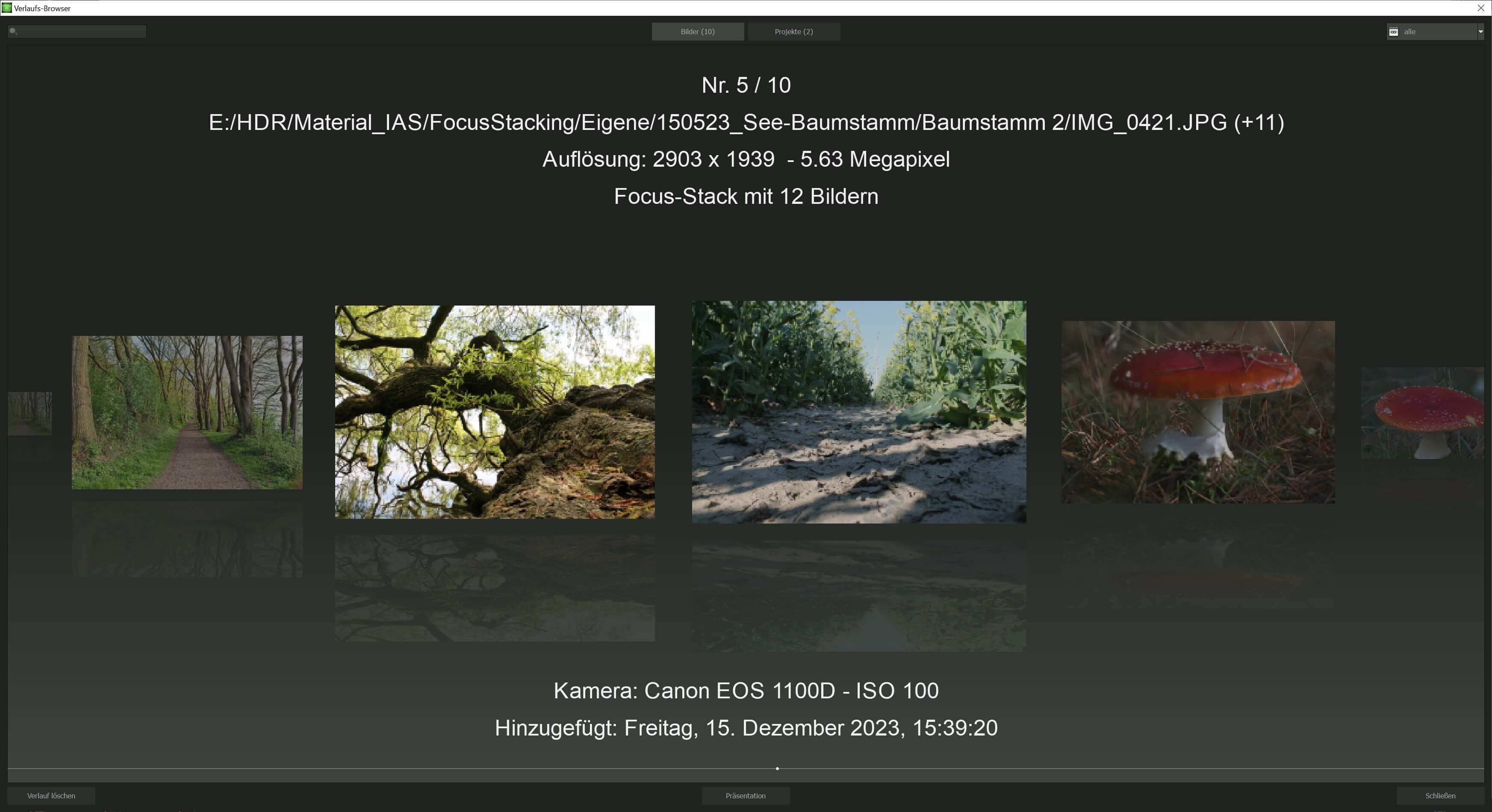 FOCUS #6 professional - Verlauf