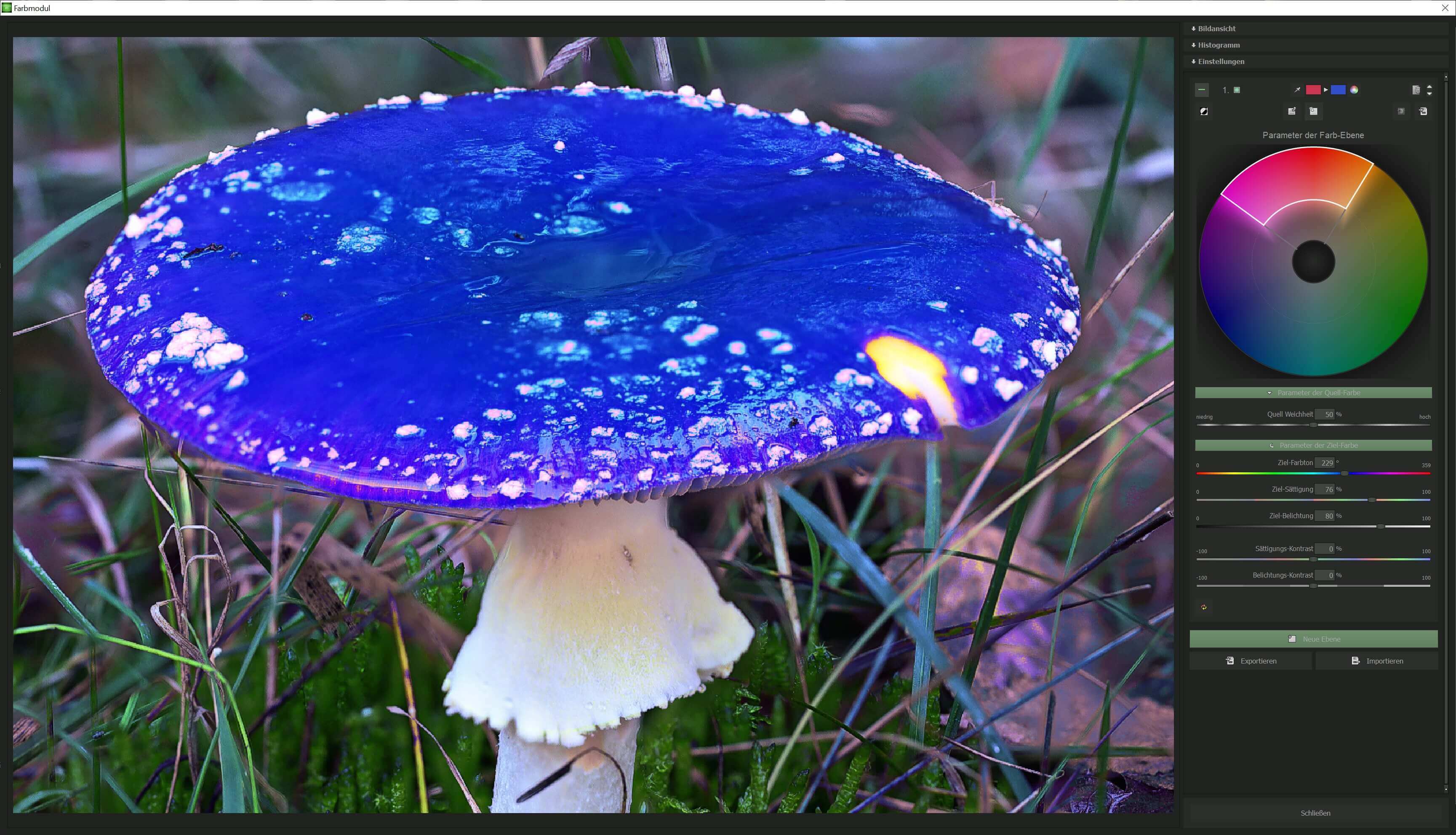 FOCUS #6 professional - Farbmodul