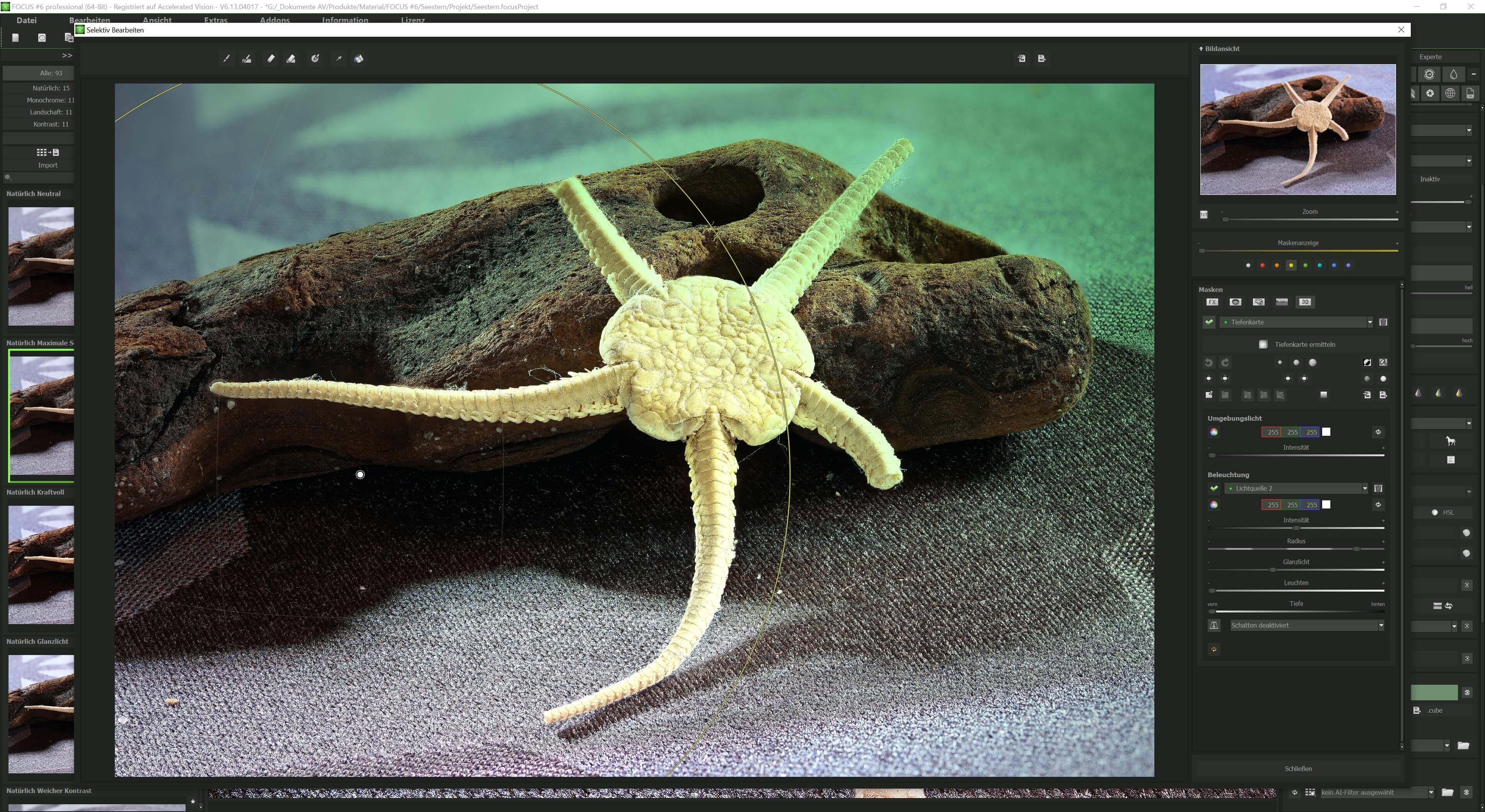 FOCUS #6 professional - Lichtmodul