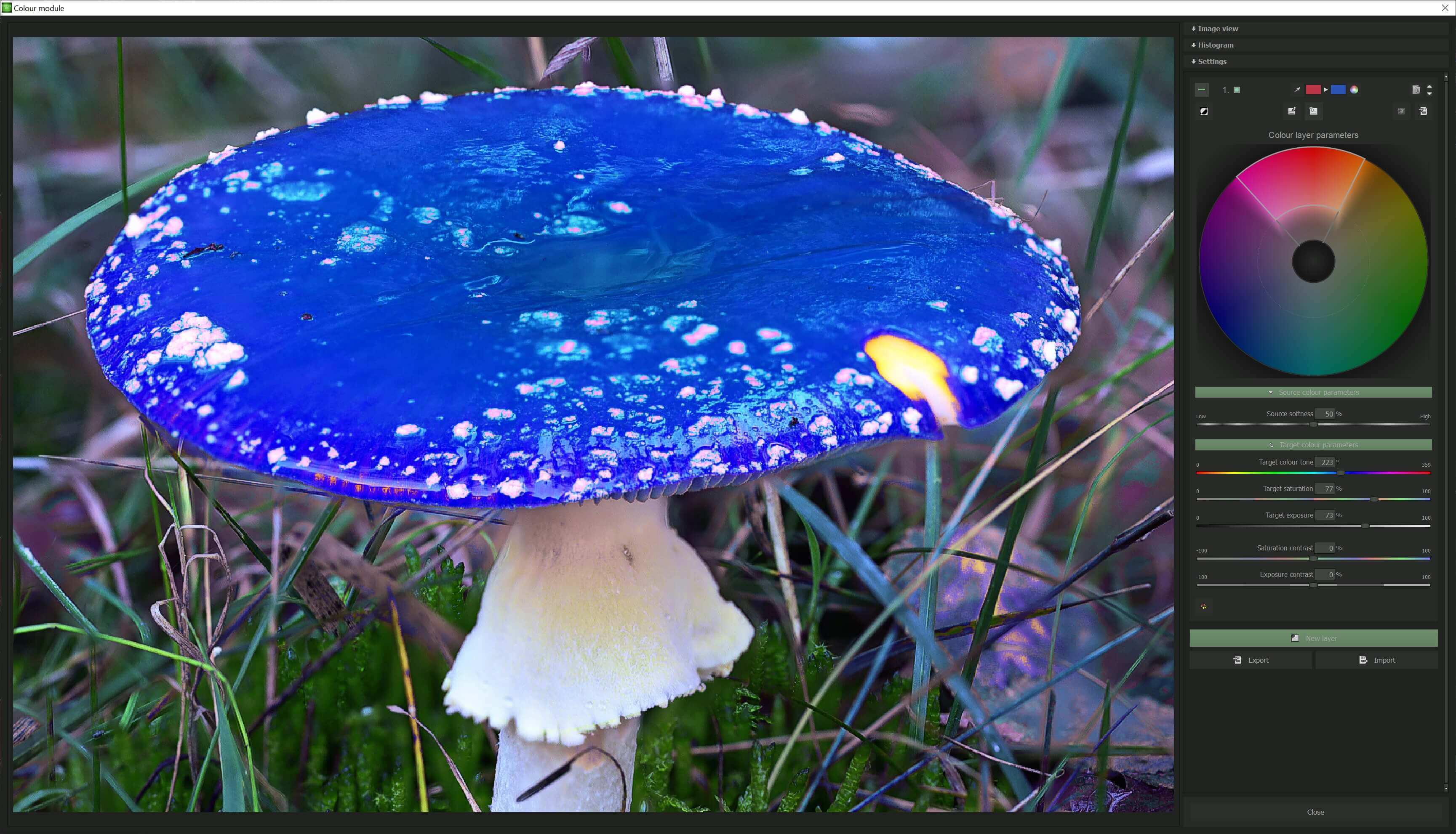 FOCUS #6 professional - Color module