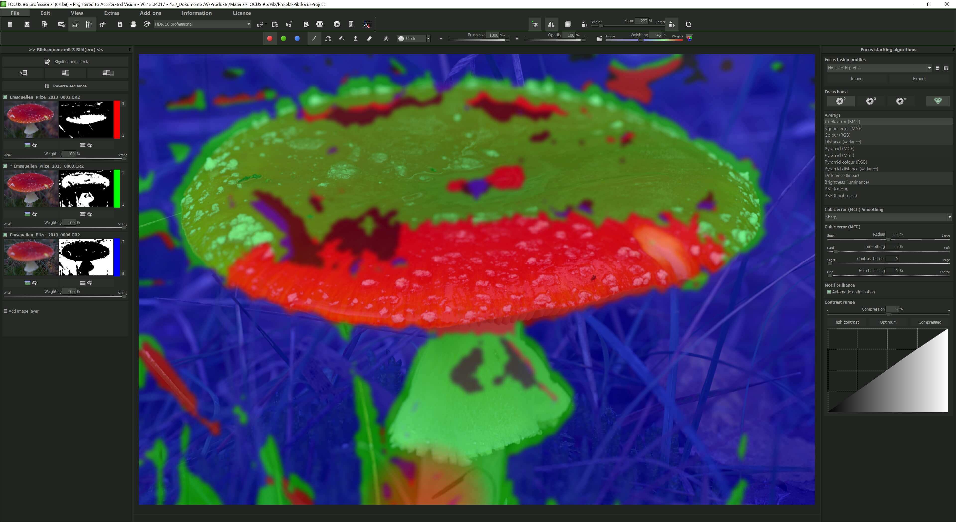 FOCUS #6 professional - Weight module