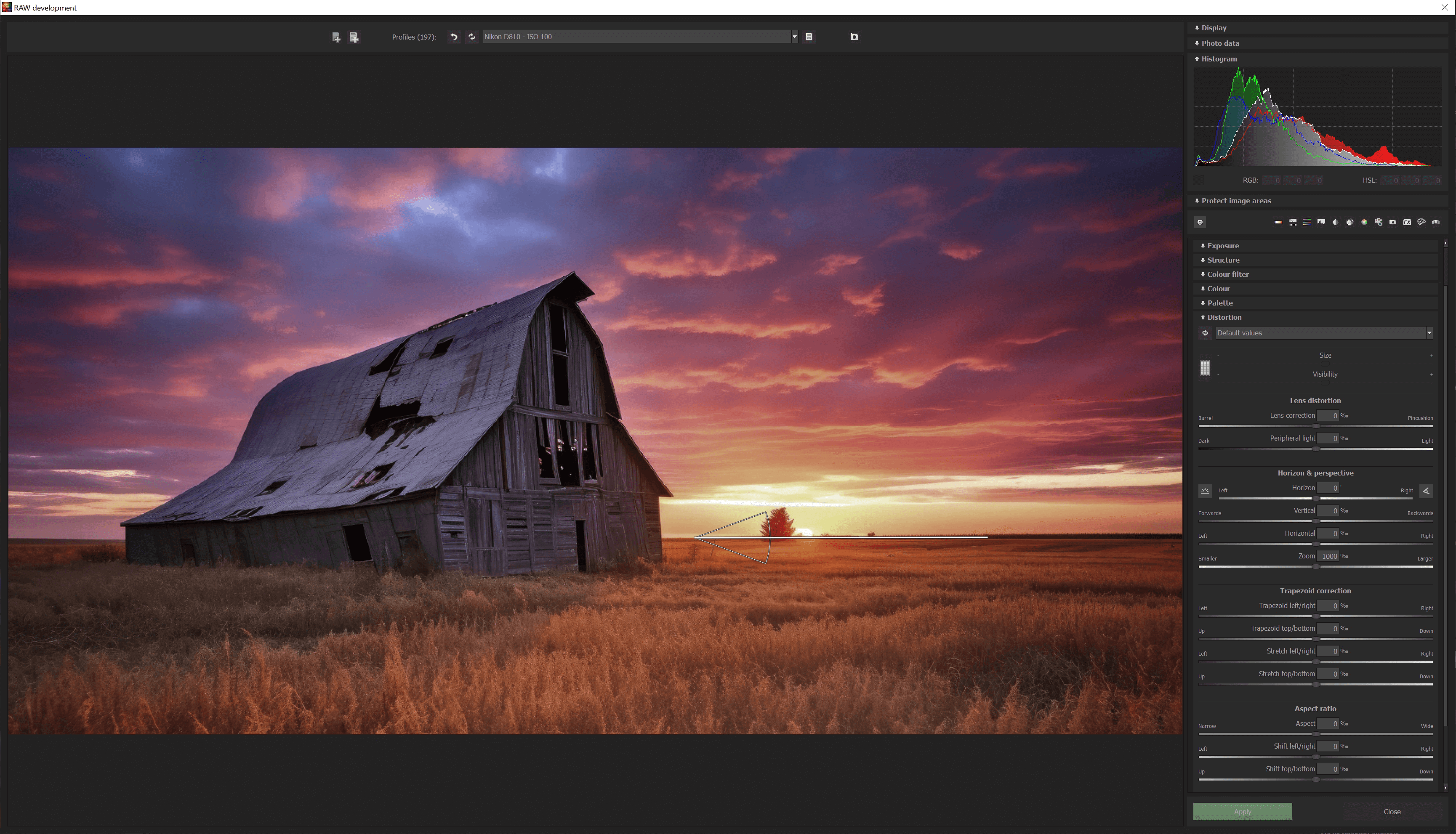 COLOR #8 professional - RAW