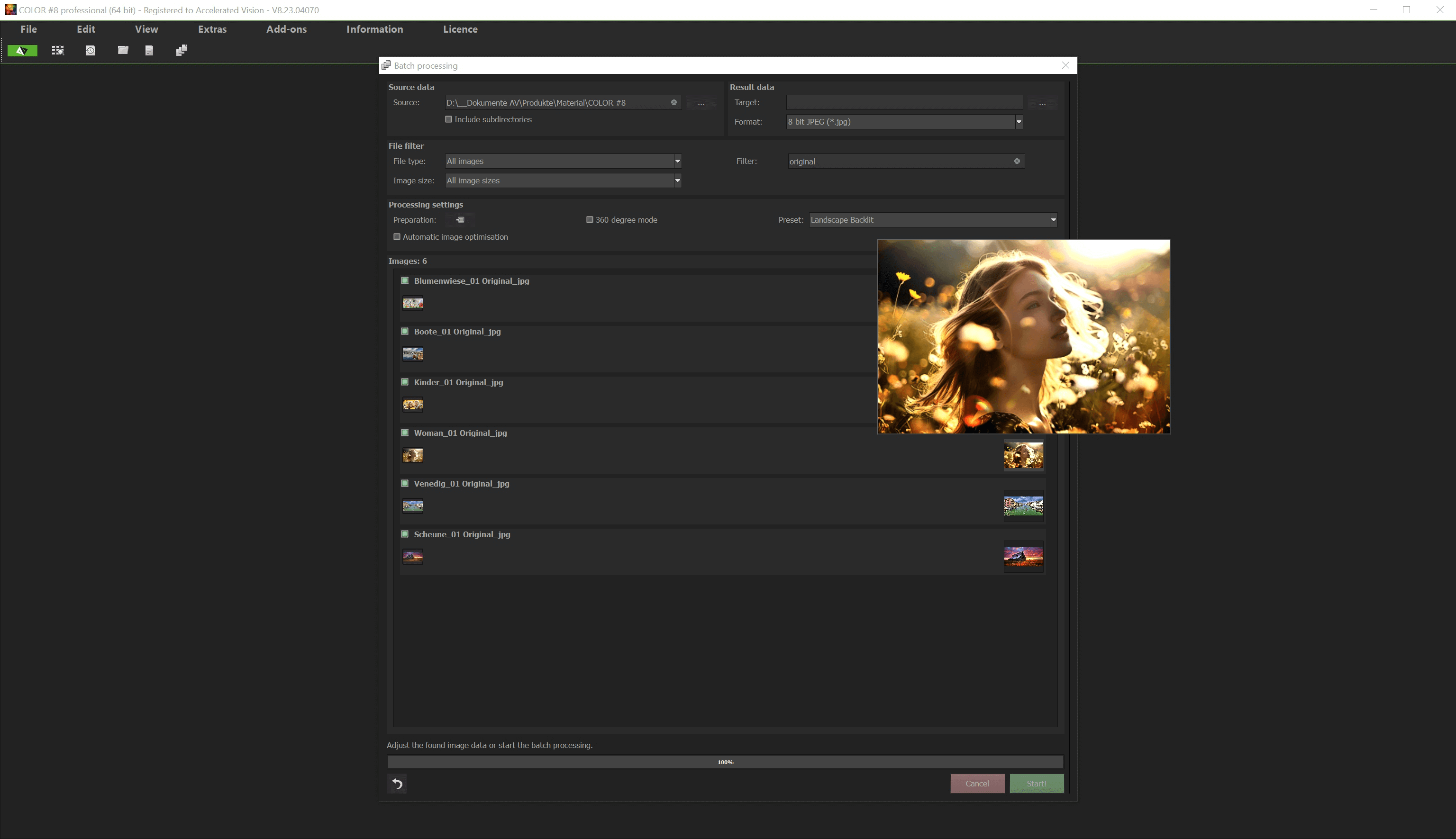 COLOR #8 professional - Batch processing
