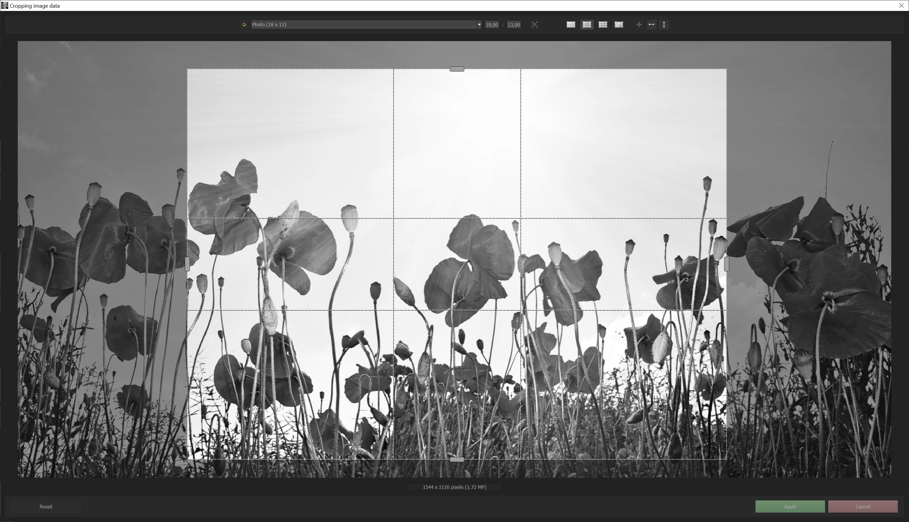 BLACK & WHITE #8 professional - Cropping