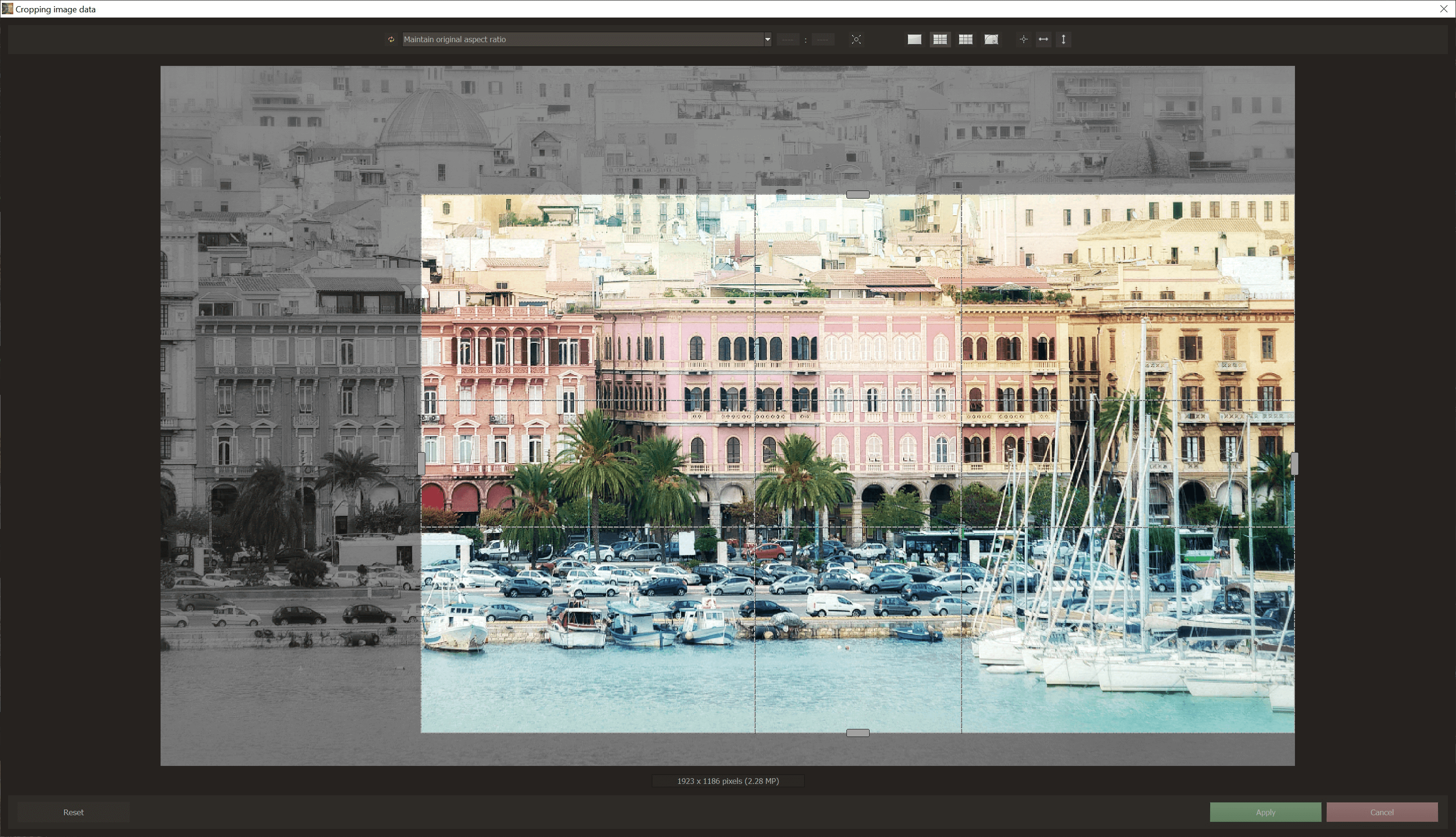 ANALOG #5 professional - Cropping