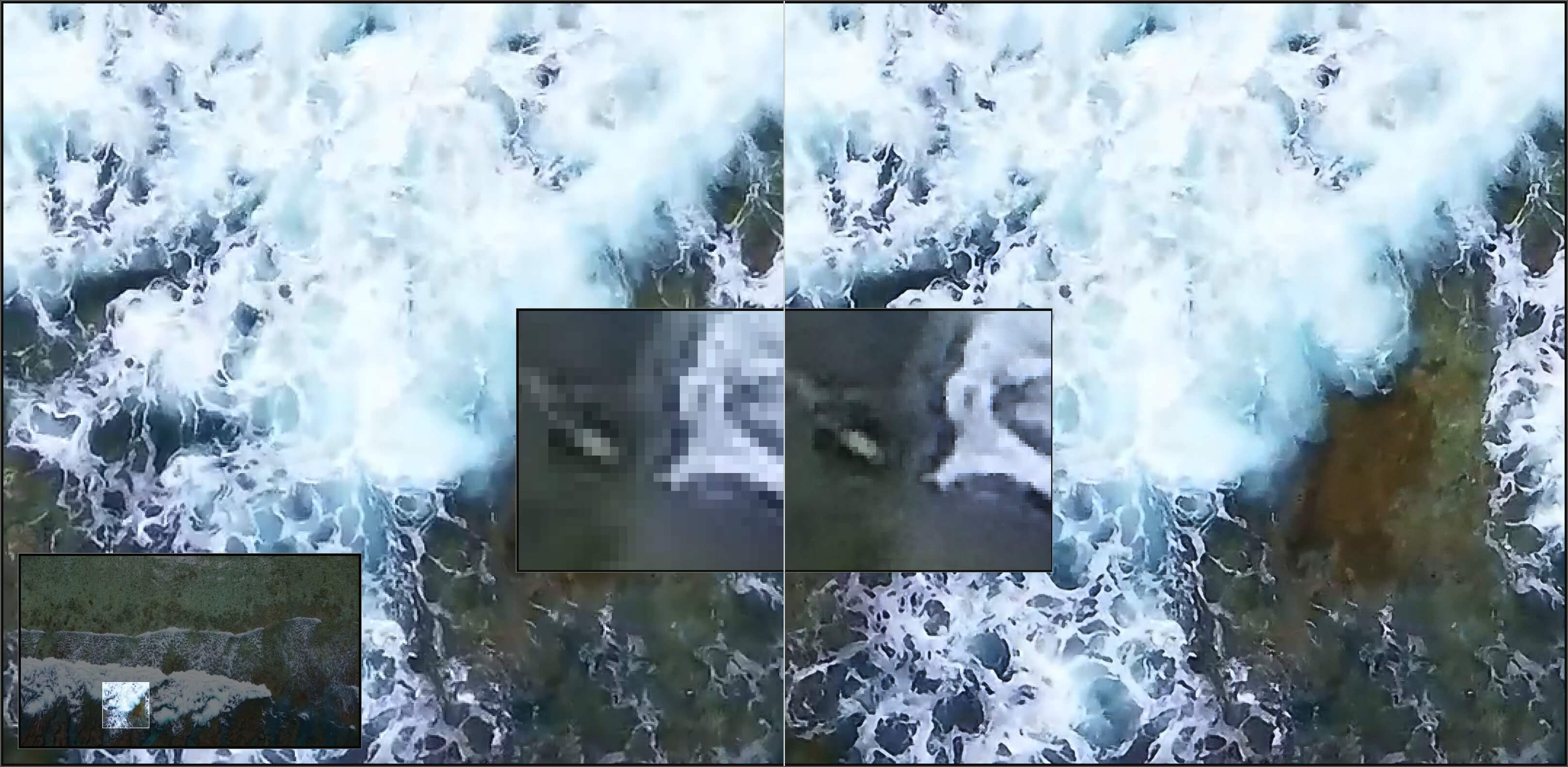 Picture Ashampoo® ZOOM Video #3 professional