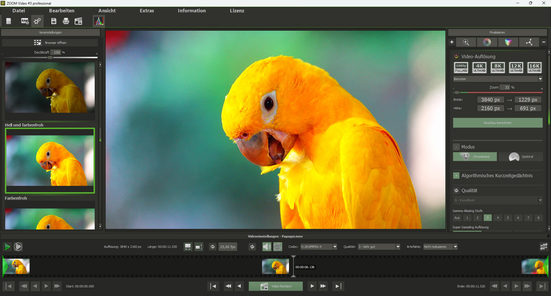 Ashampoo® ZOOM Video #3 professional -Interface