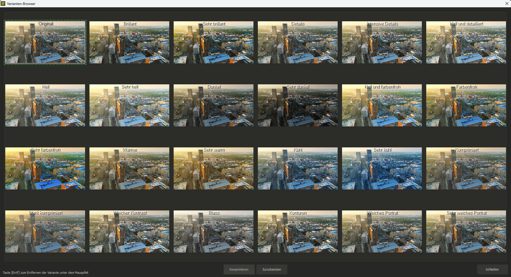 Ashampoo® ZOOM Video #3 professional - Varianten Browser
