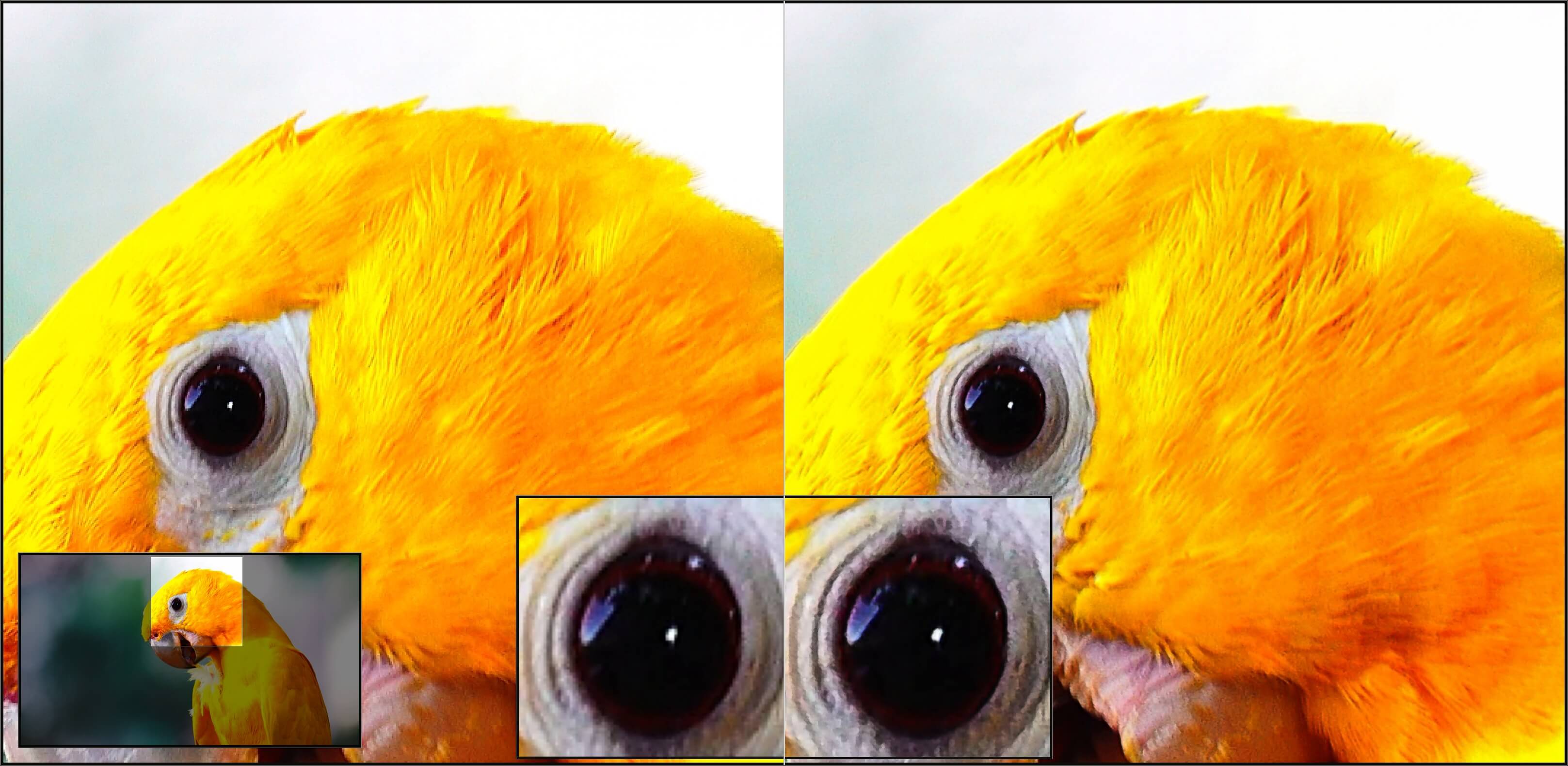 Ashampoo® ZOOM Video #3 professional - Compare
