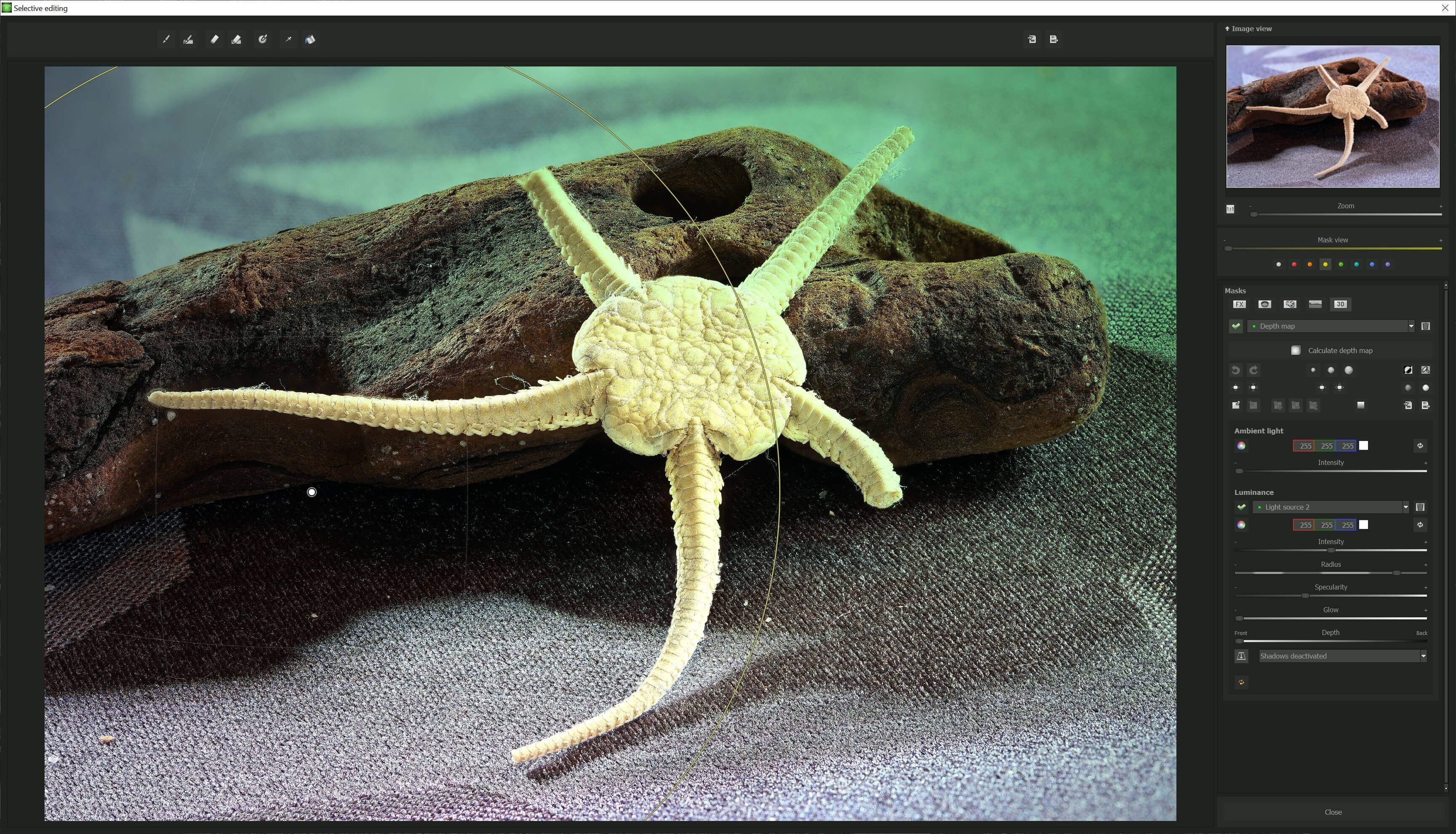 FOCUS #6 - Light module