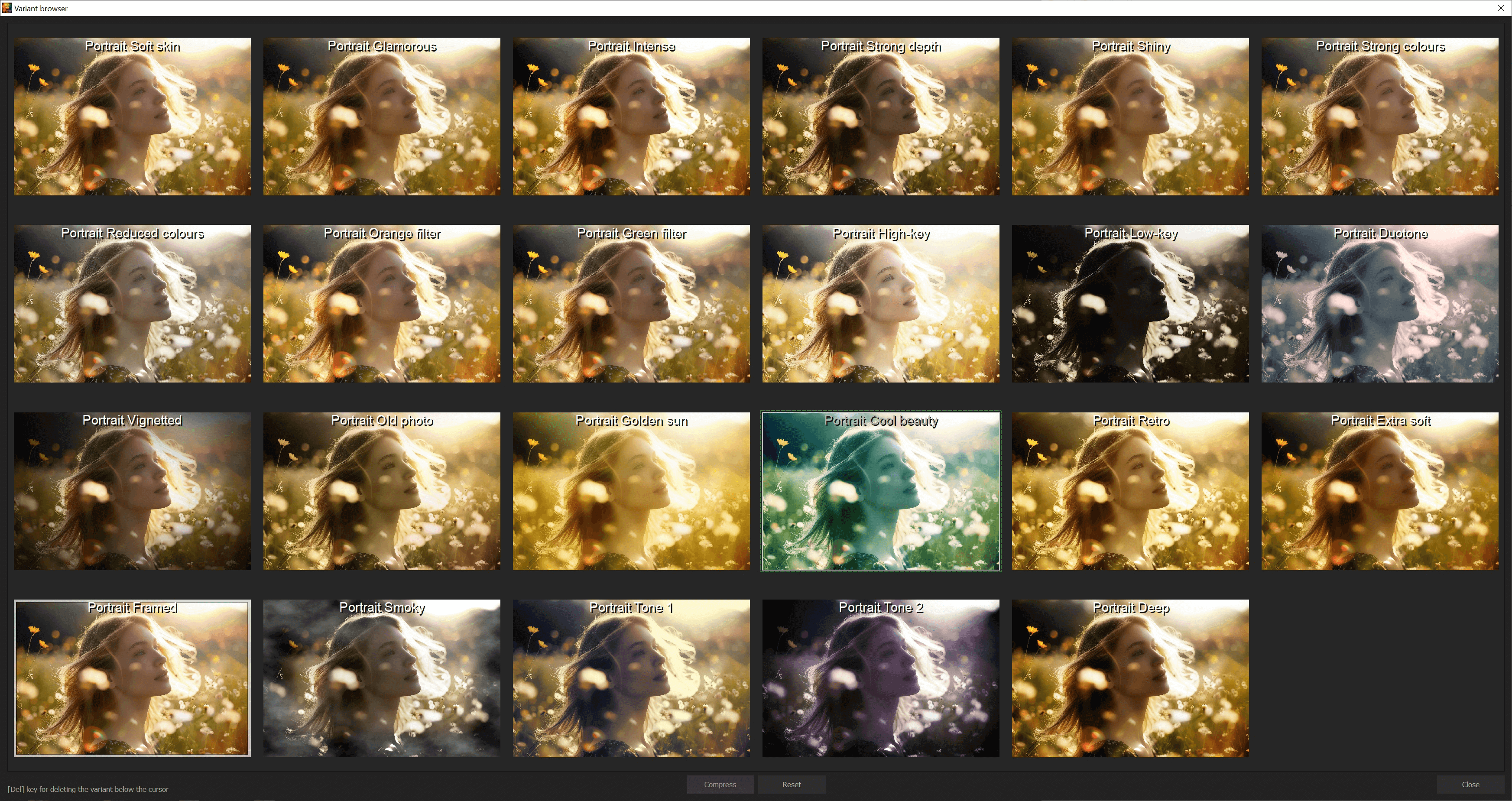 COLOR #8 professional - Effect browser