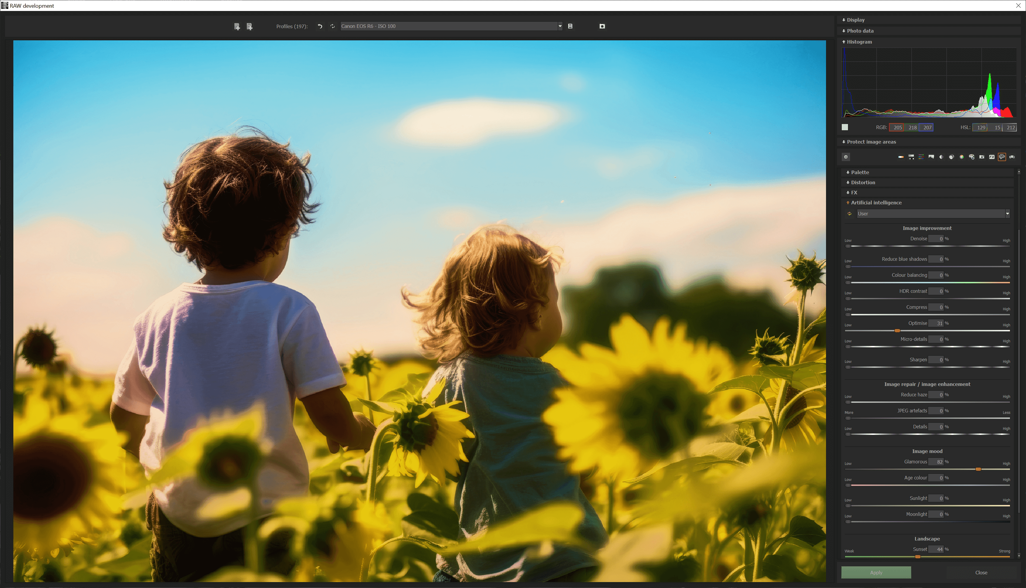 Ashampoo® BLACK & WHITE #8