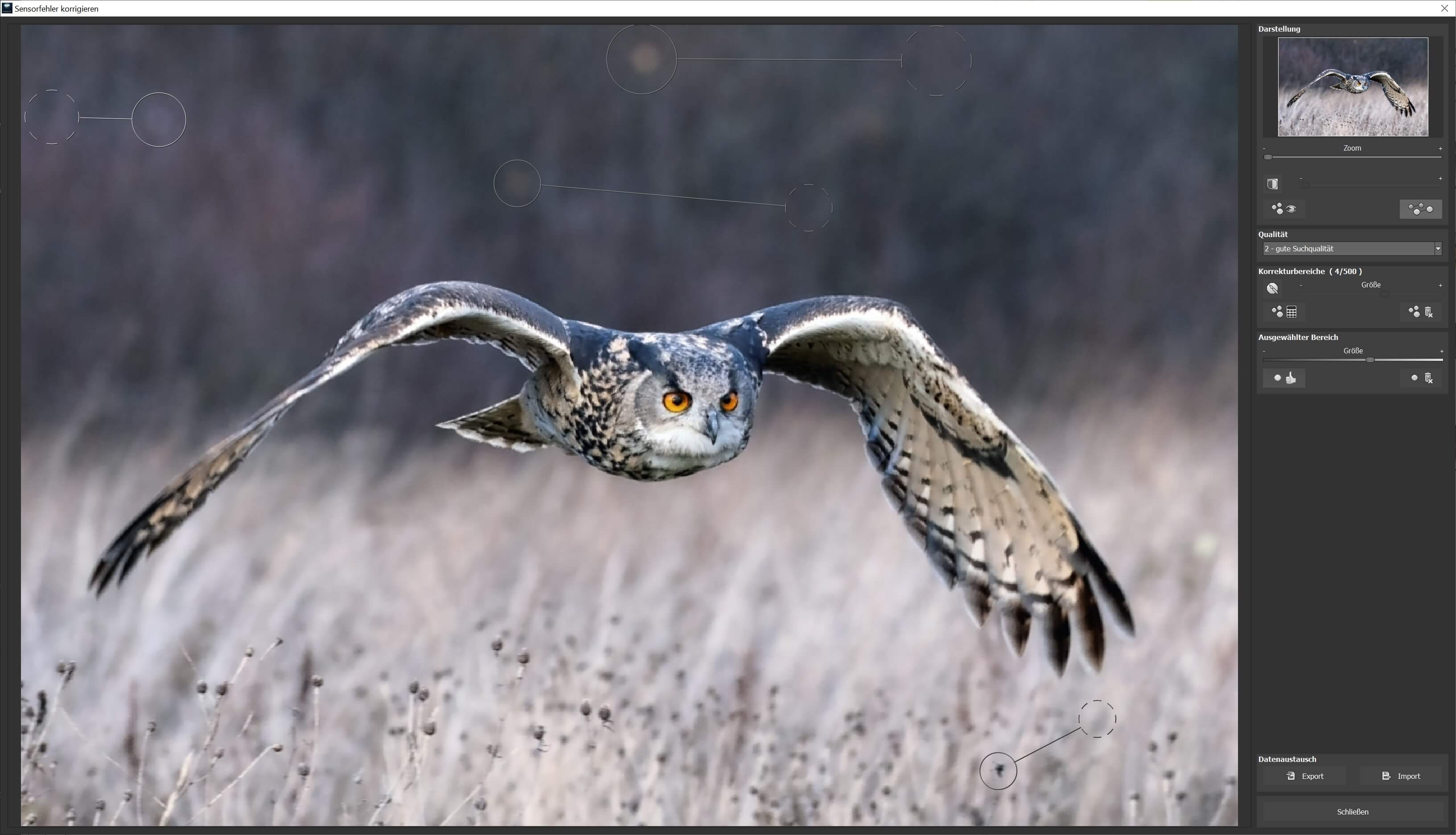 Ashampoo DENOISE #6 - Sensorfehler 