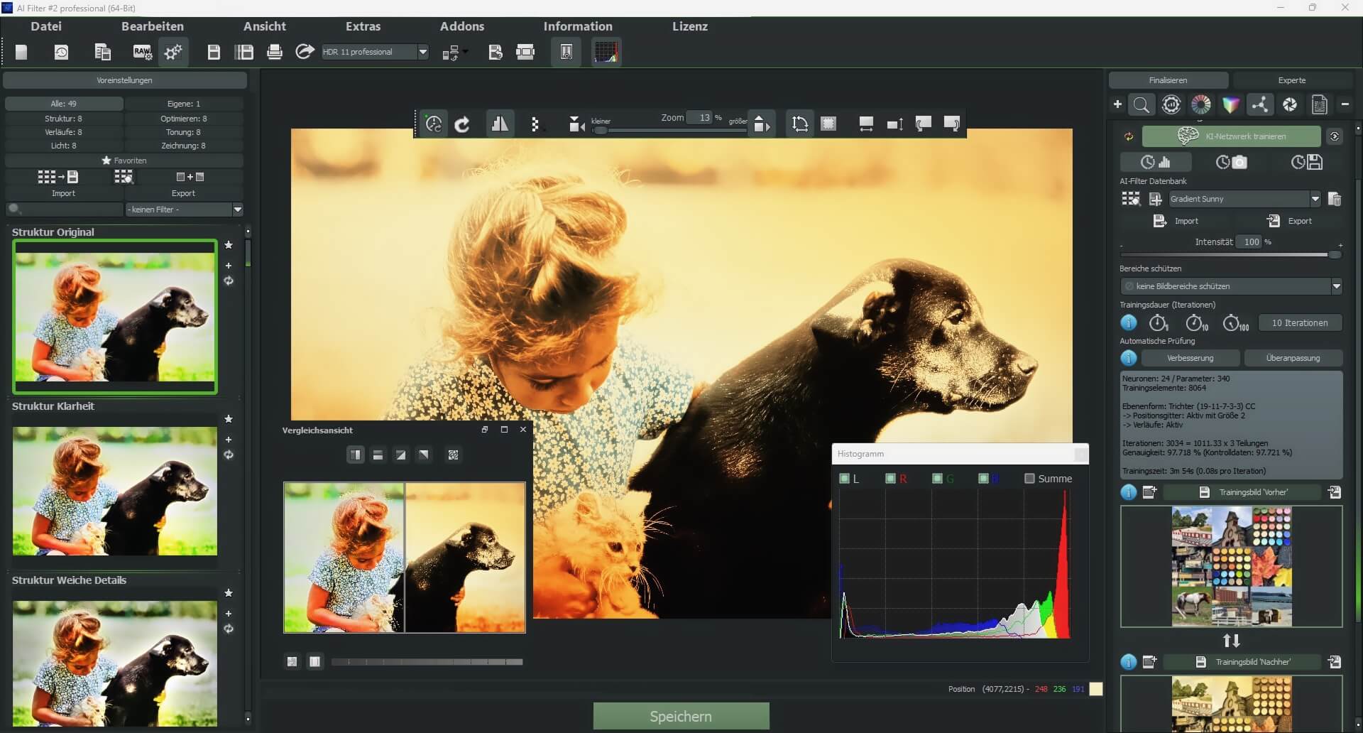 Ashampoo® AI Filter #2 professional  - Interface Elemente
