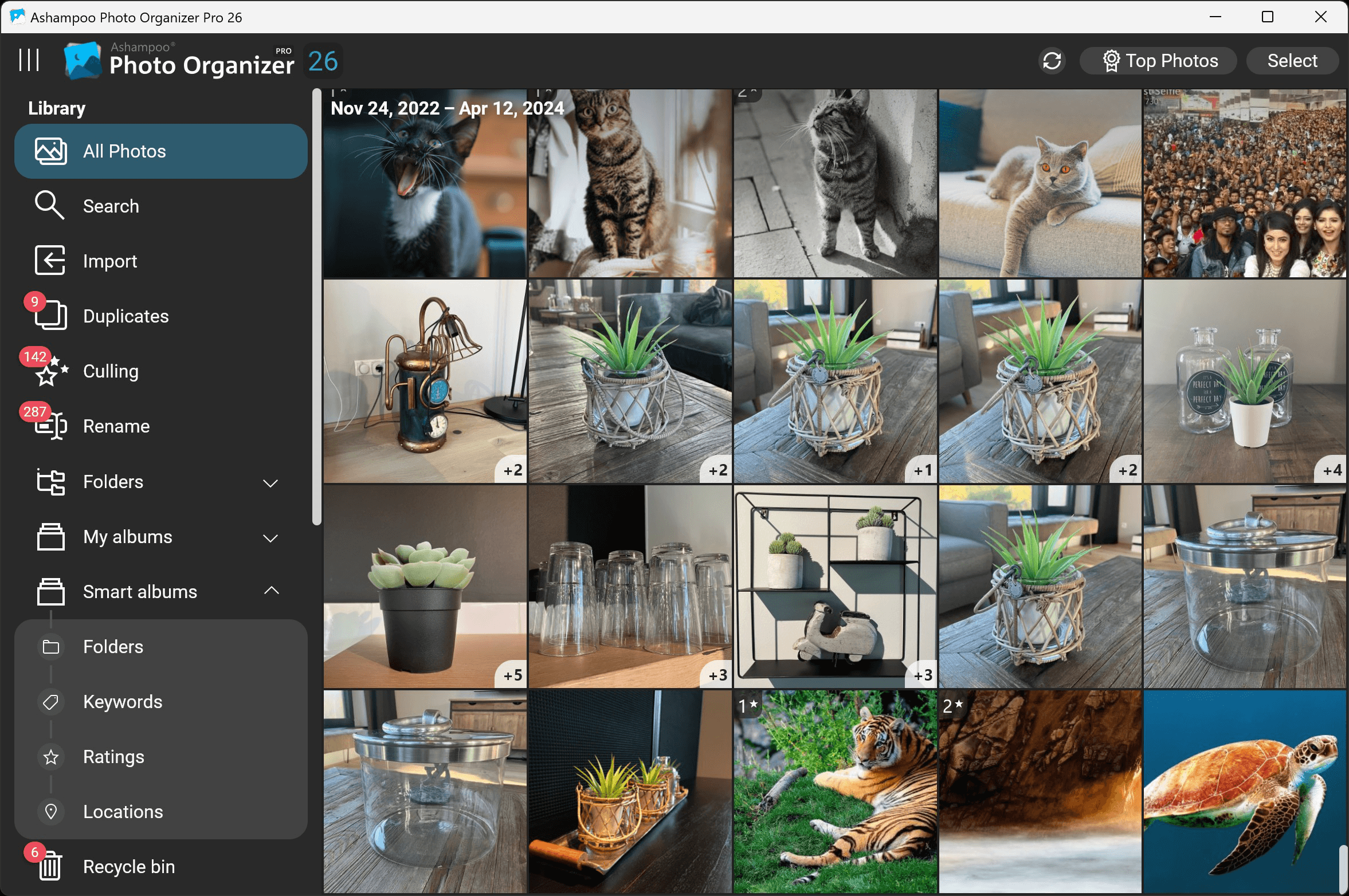 Ashampoo® Photo Organizer Pro 26 - Grouping