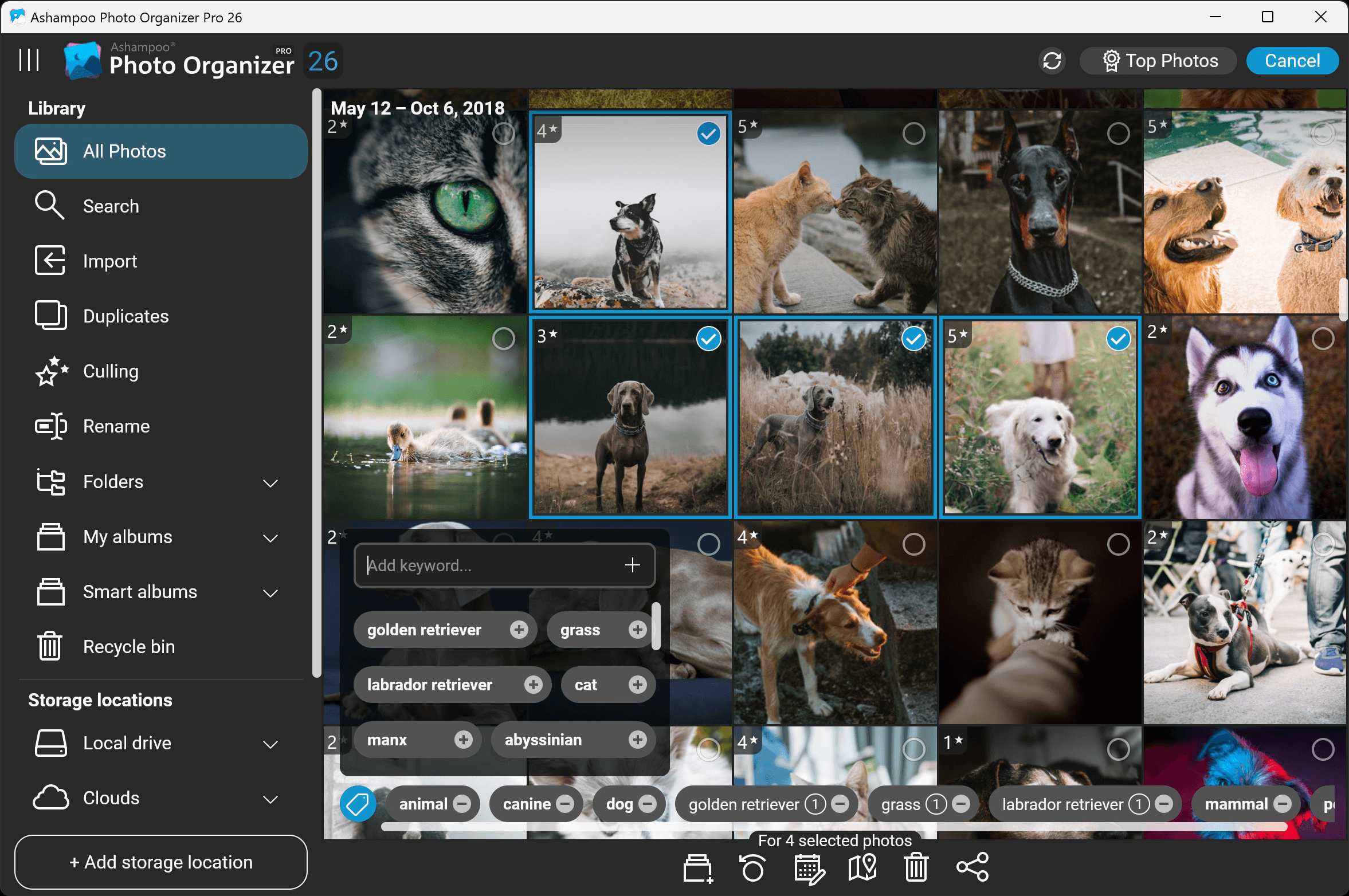 Ashampoo® Photo Organizer Pro 26 - Batch edit
