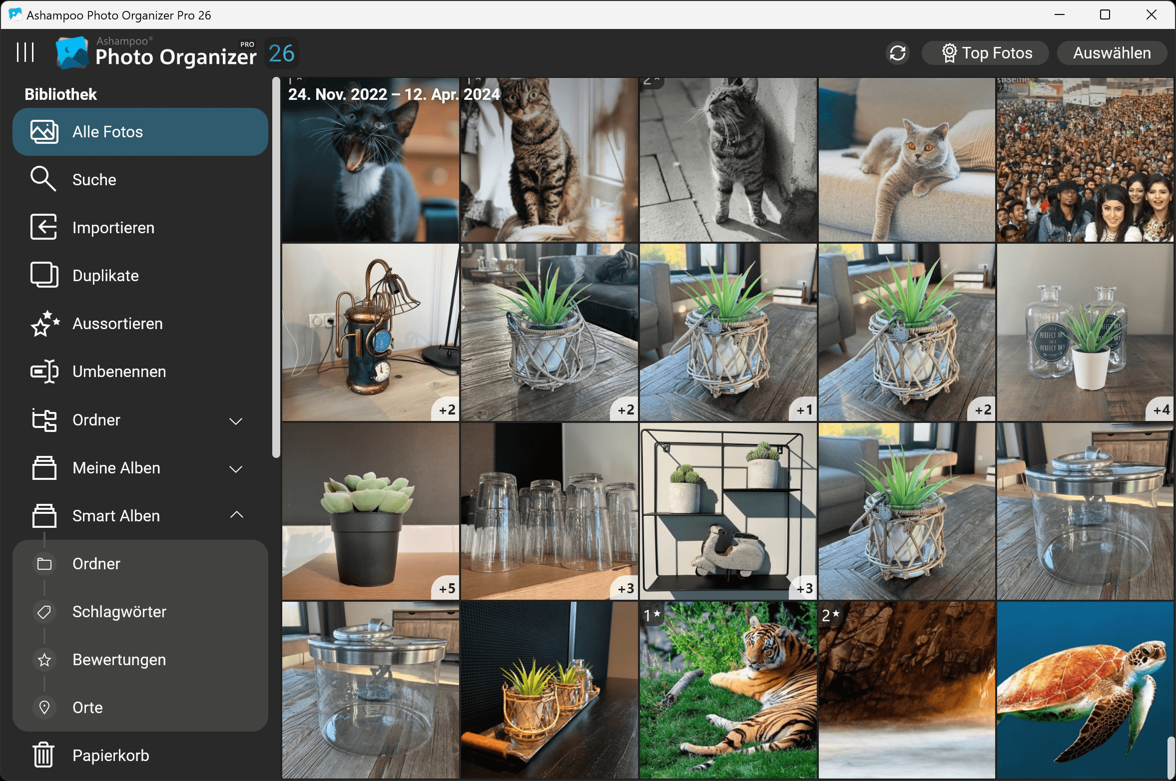 Ashampoo Photo Organizer Pro 26 - Gruppen