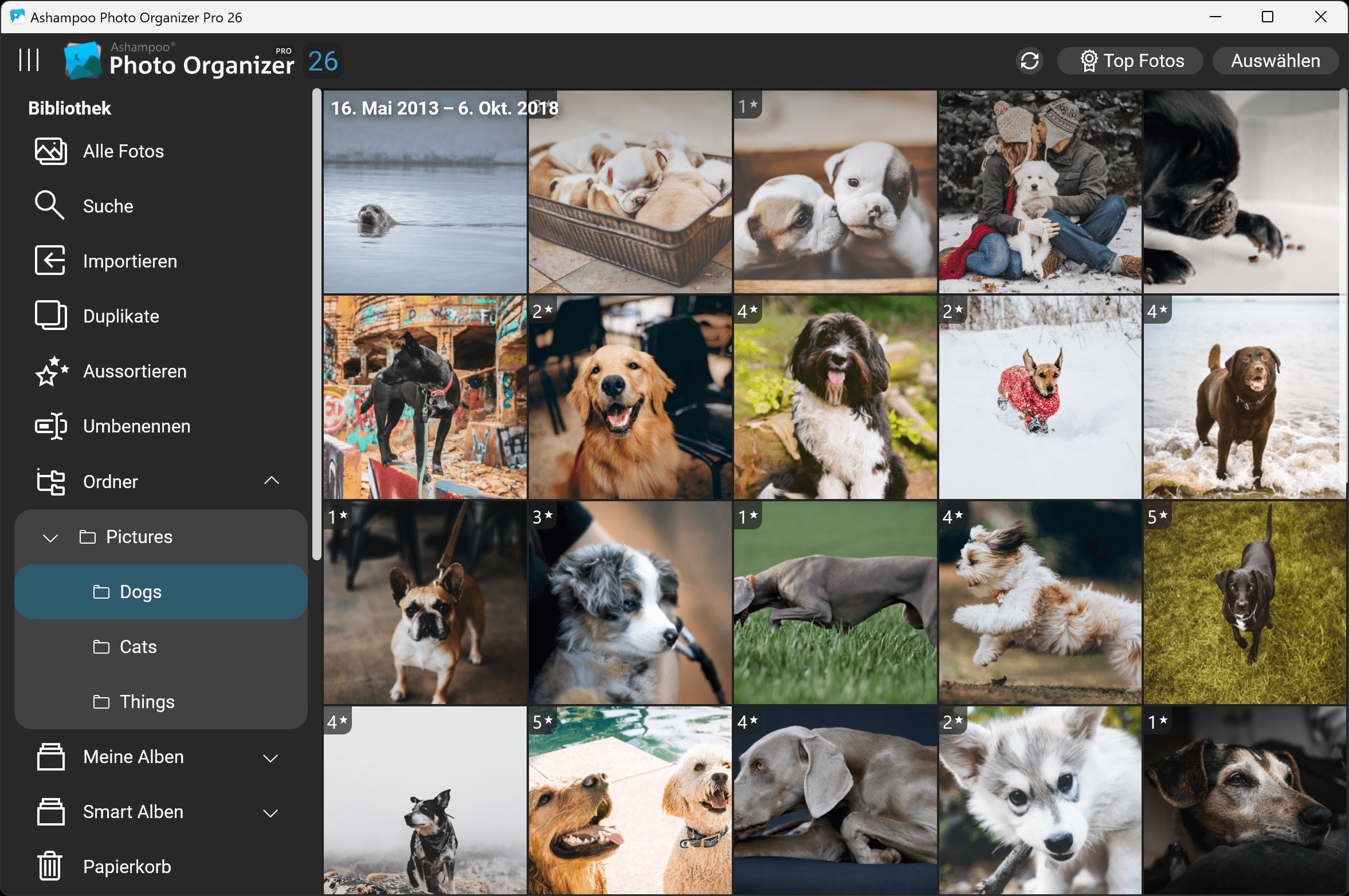 Ashampoo Photo Organizer Pro 26 - Bilder