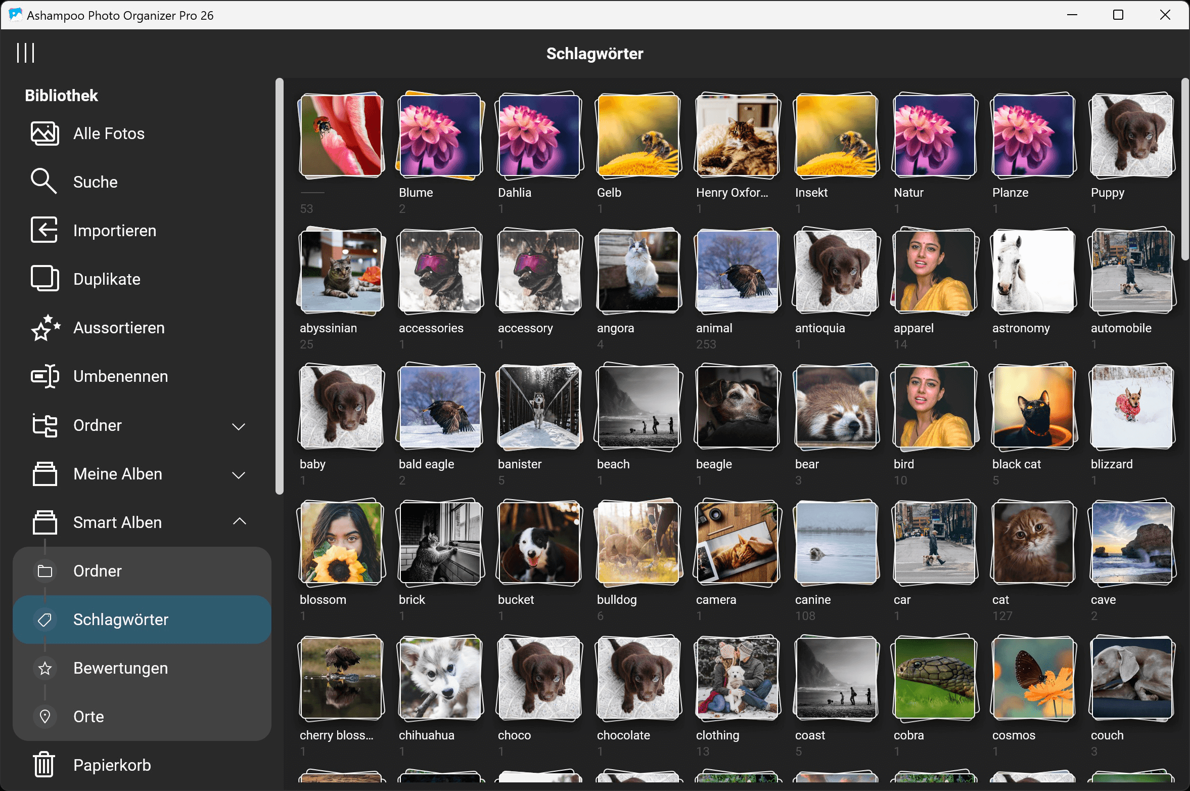Ashampoo Photo Organizer Pro 26 - Alben