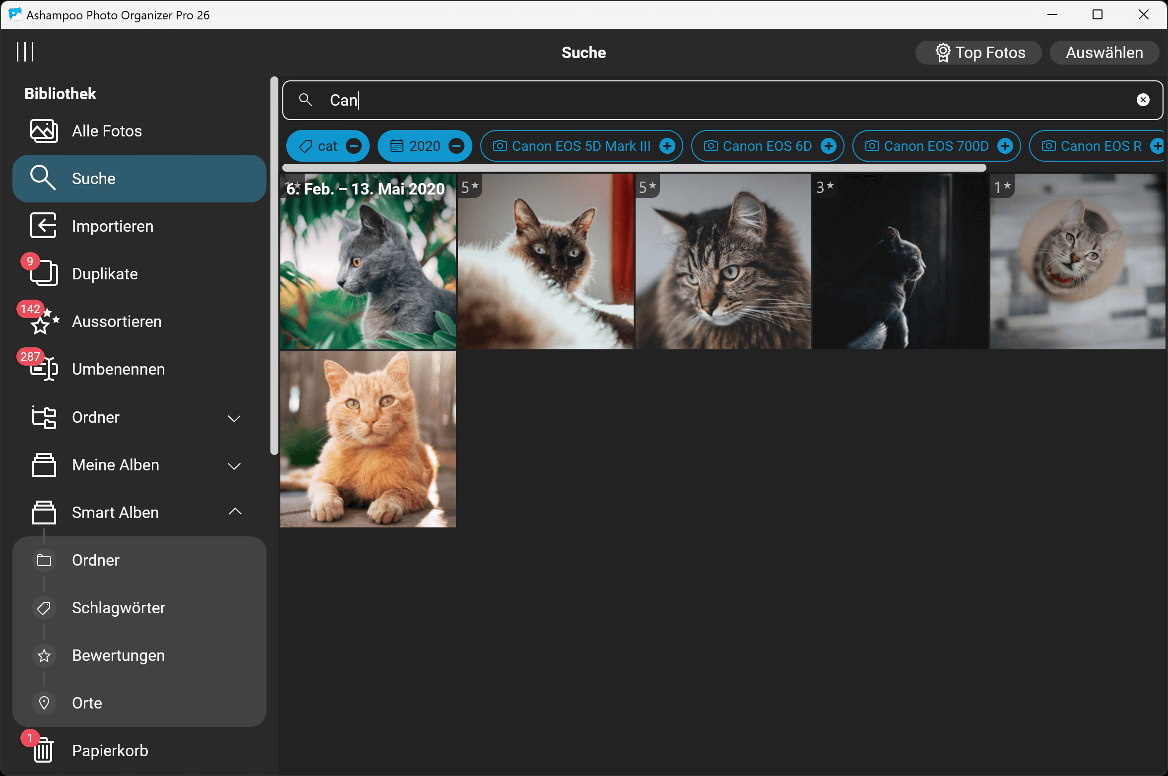 0Ashampoo Photo Organizer Pro 26 - Suche