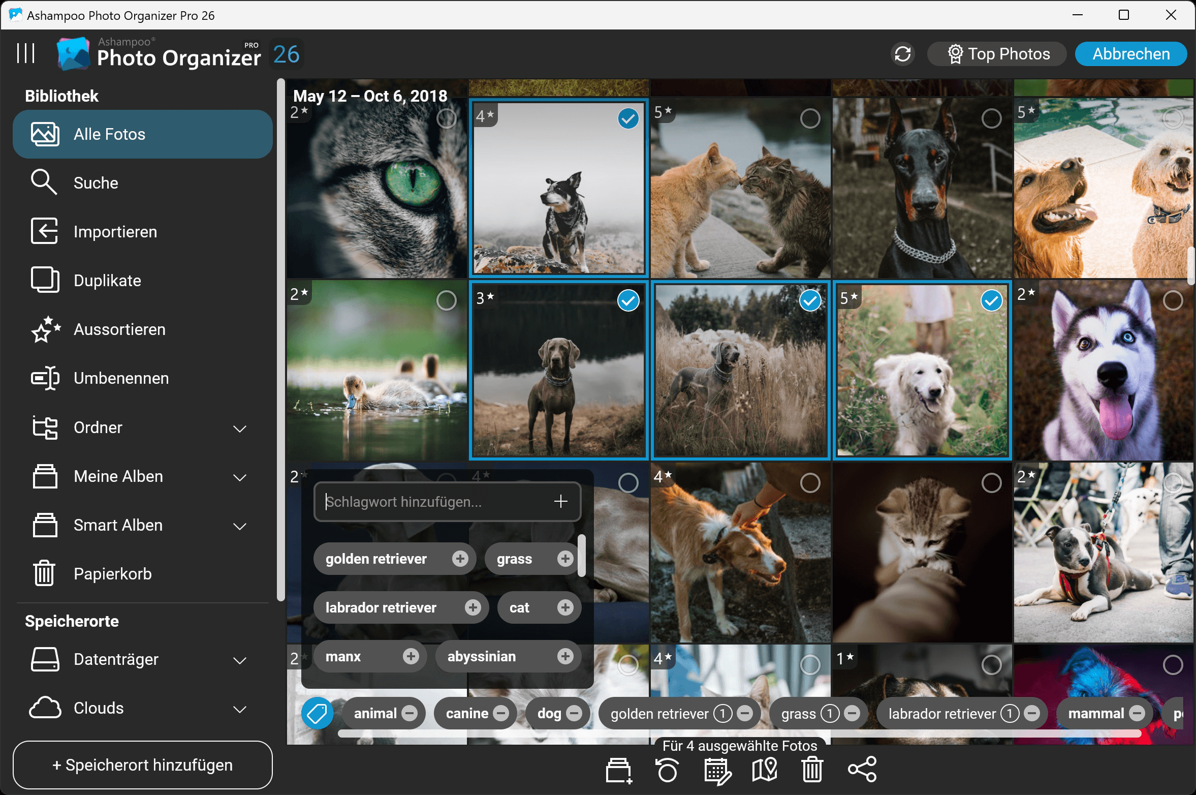 Ashampoo Photo Organizer Pro 26 - Stapel Verarbeitung