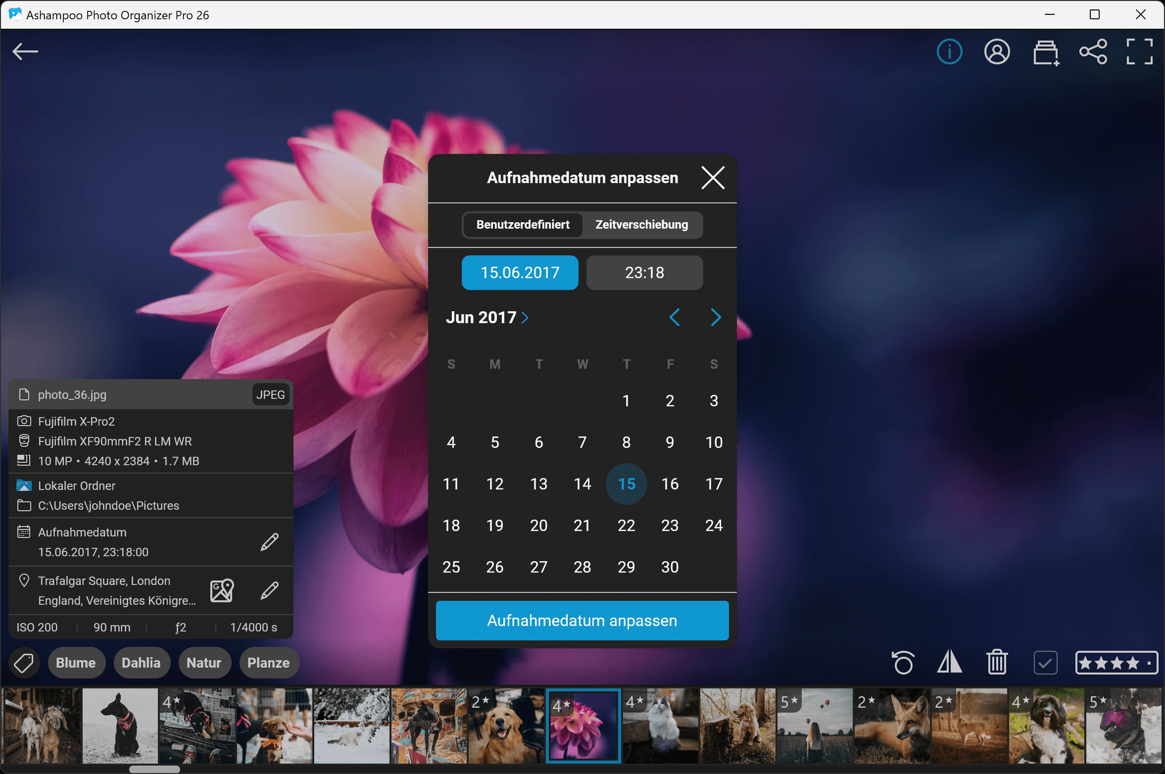 Ashampoo Photo Organizer Pro 26 - Daten