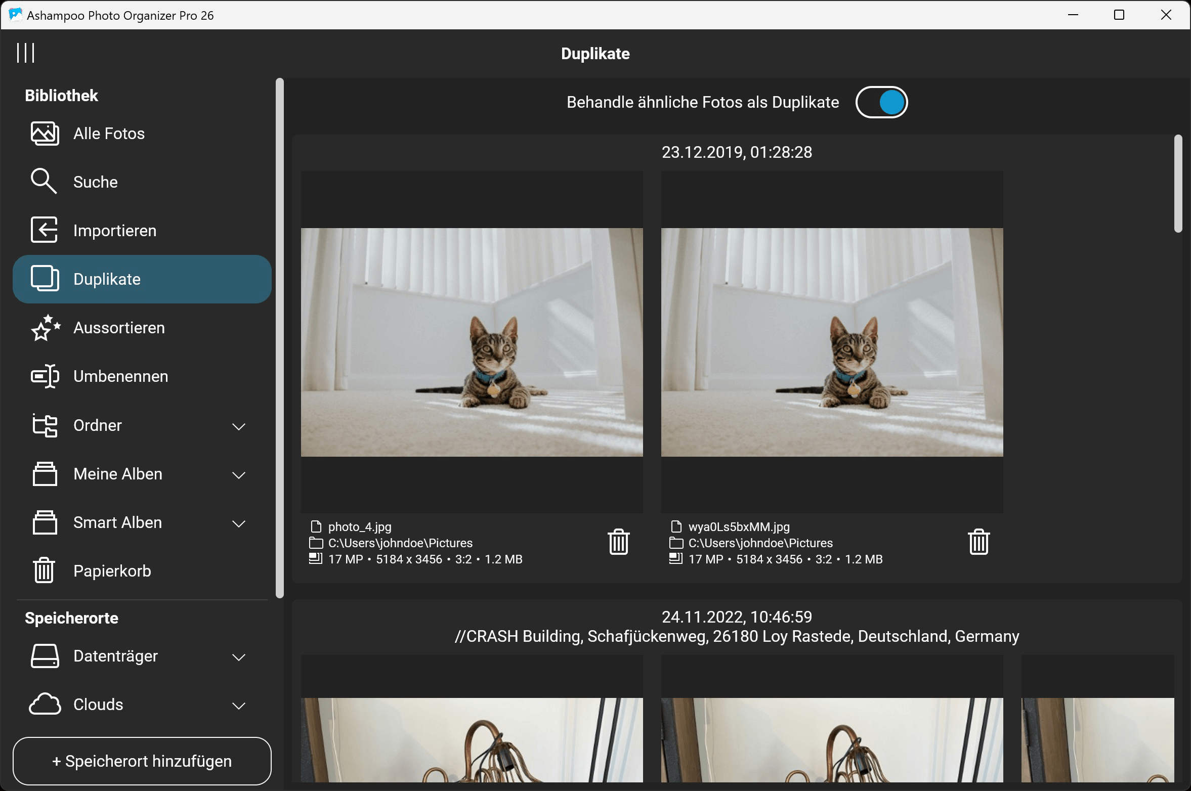 Ashampoo Photo Organizer Pro 26 - Duplikate