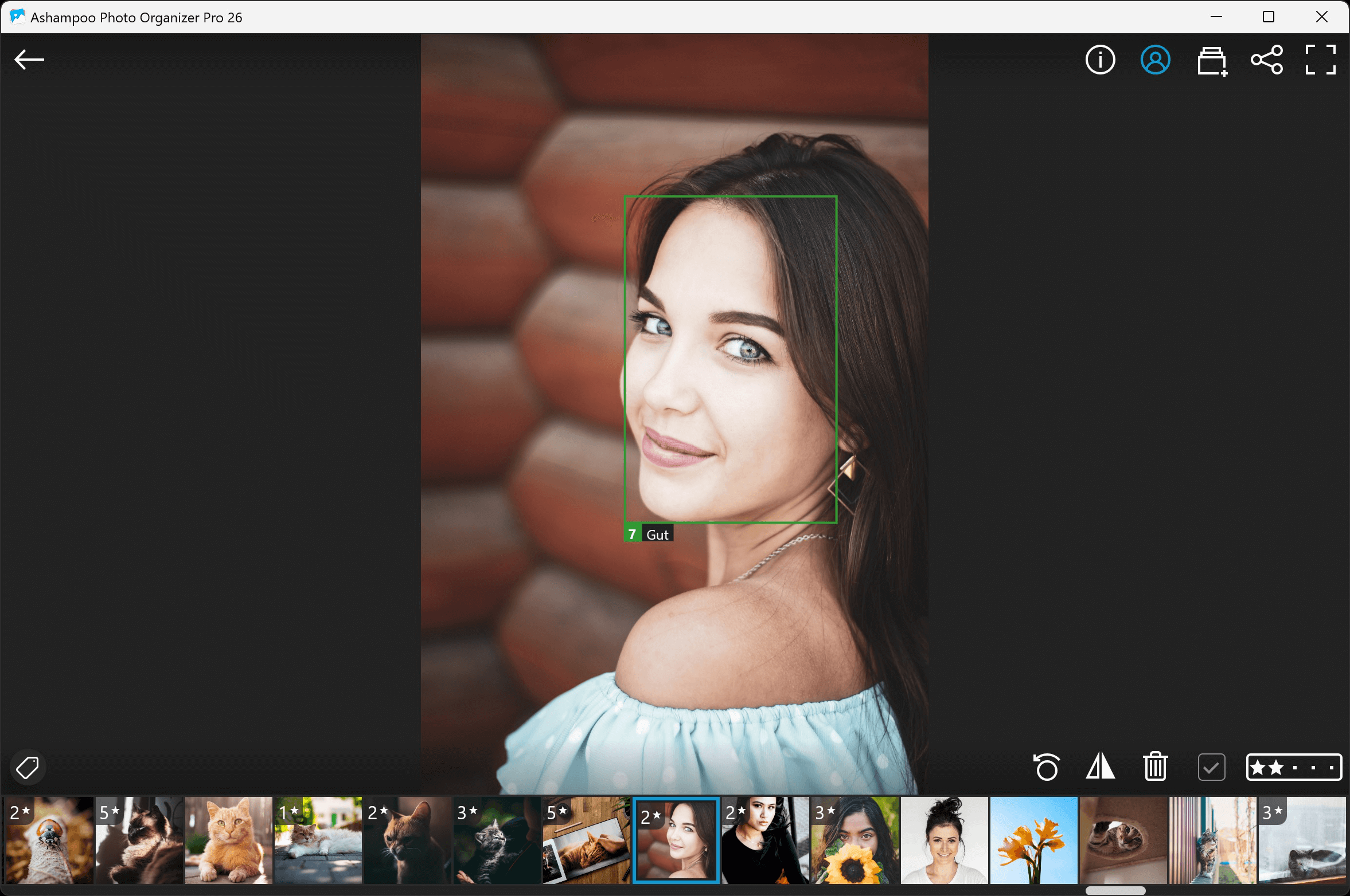 Ashampoo Photo Organizer Pro 26 - Fokus