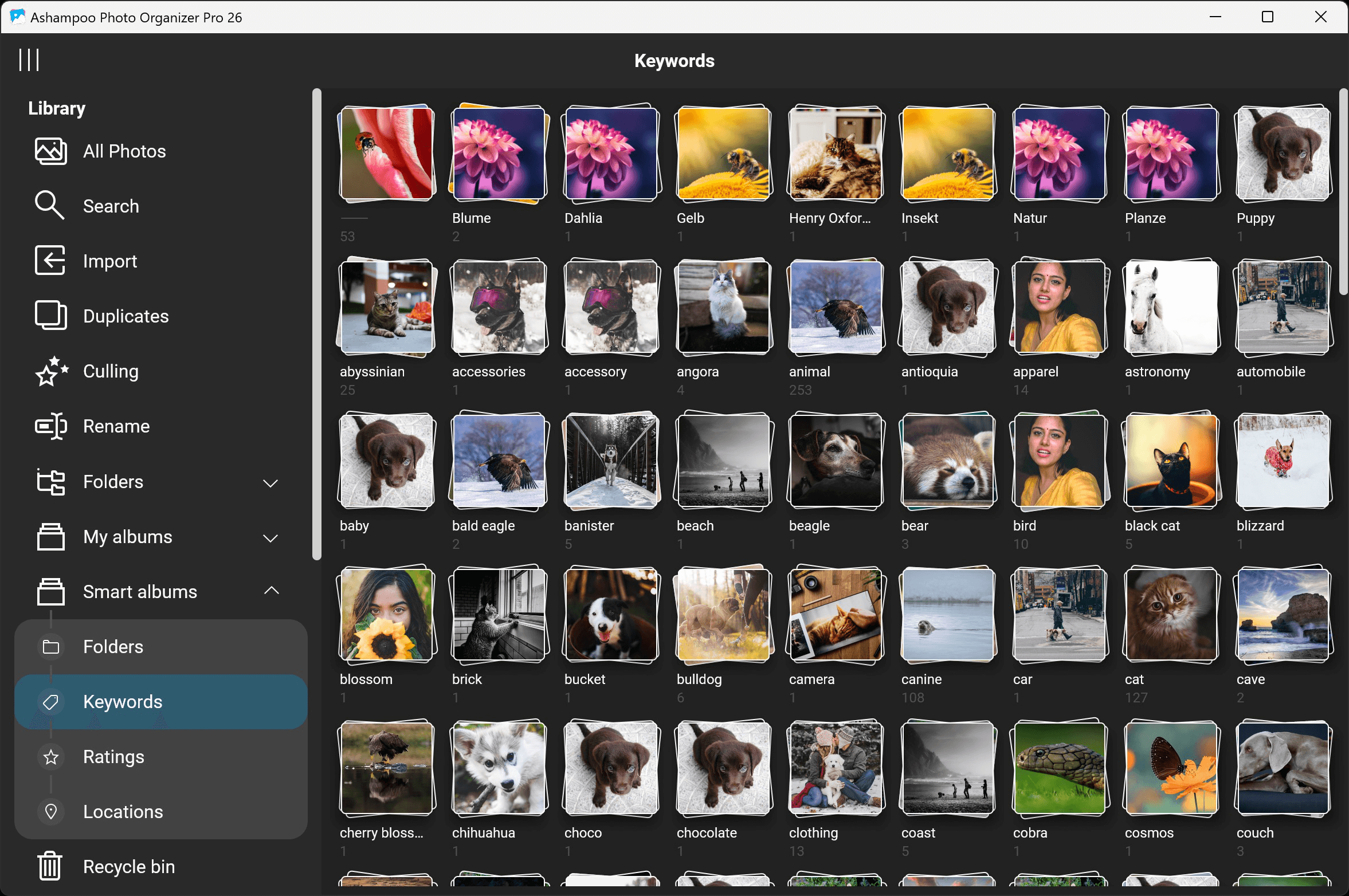 Ashampoo® Photo Organizer Pro 26 - Smart albums