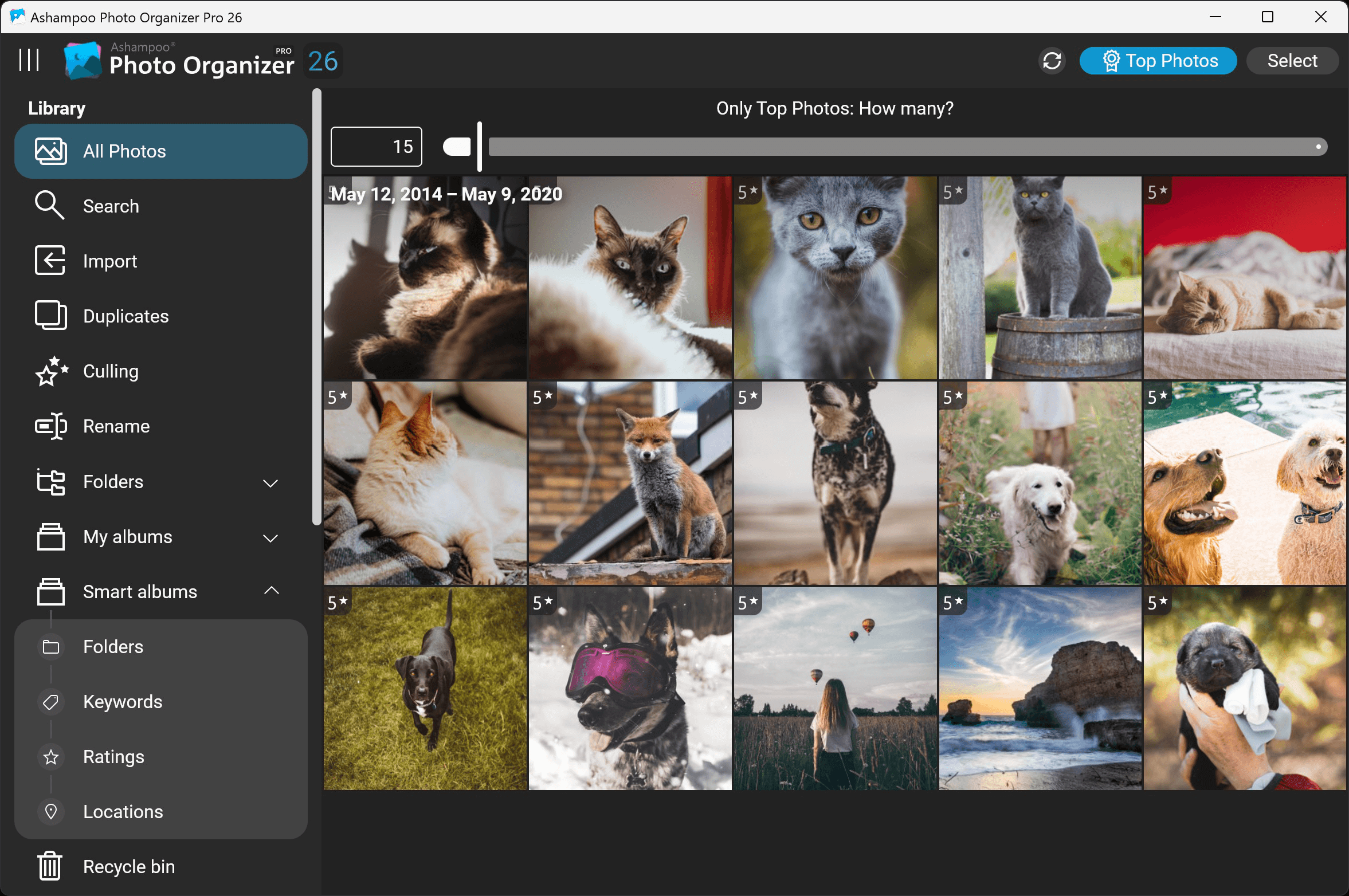 Ashampoo® Photo Organizer Pro 26 - Top photos