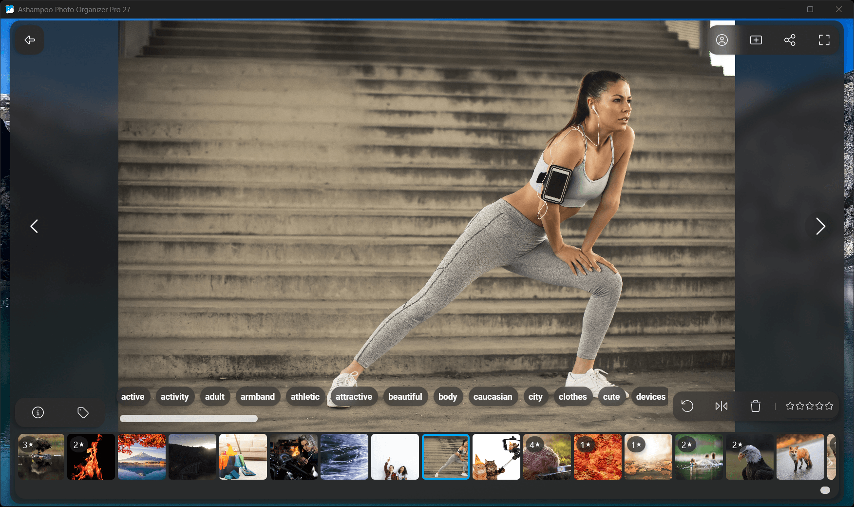 Photo Organizer Pro 27 - Tags