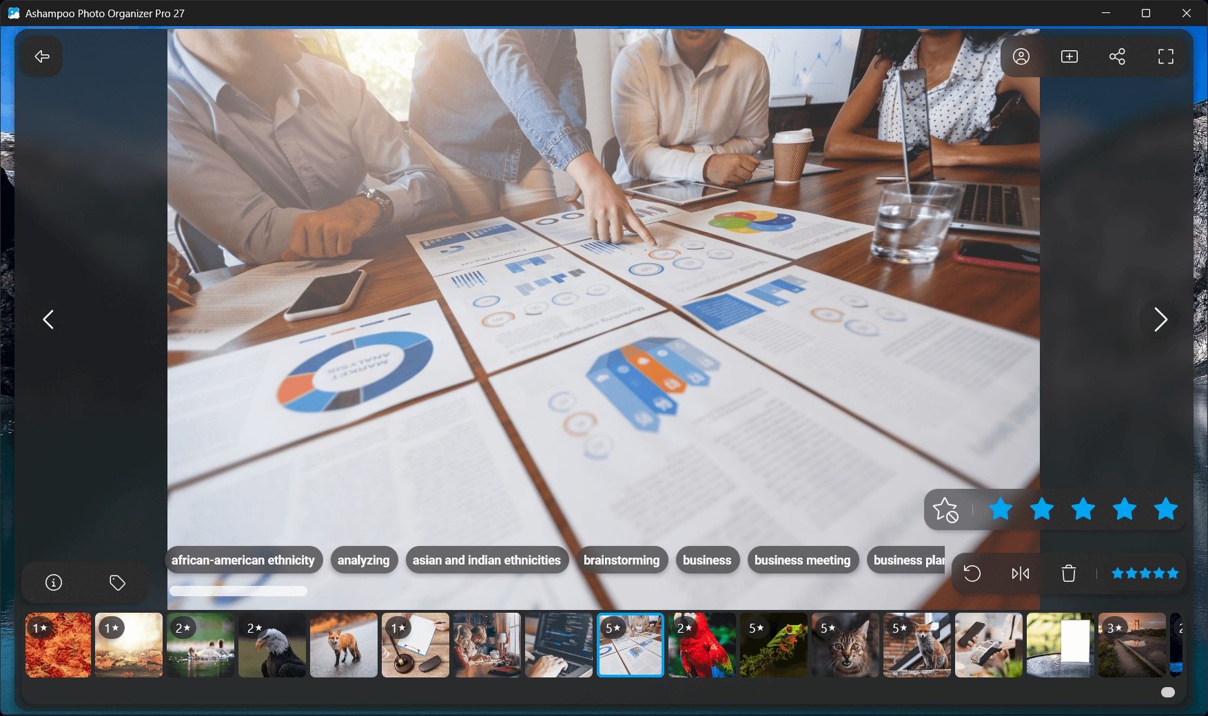 Photo Organizer Pro 27 - Tags 2