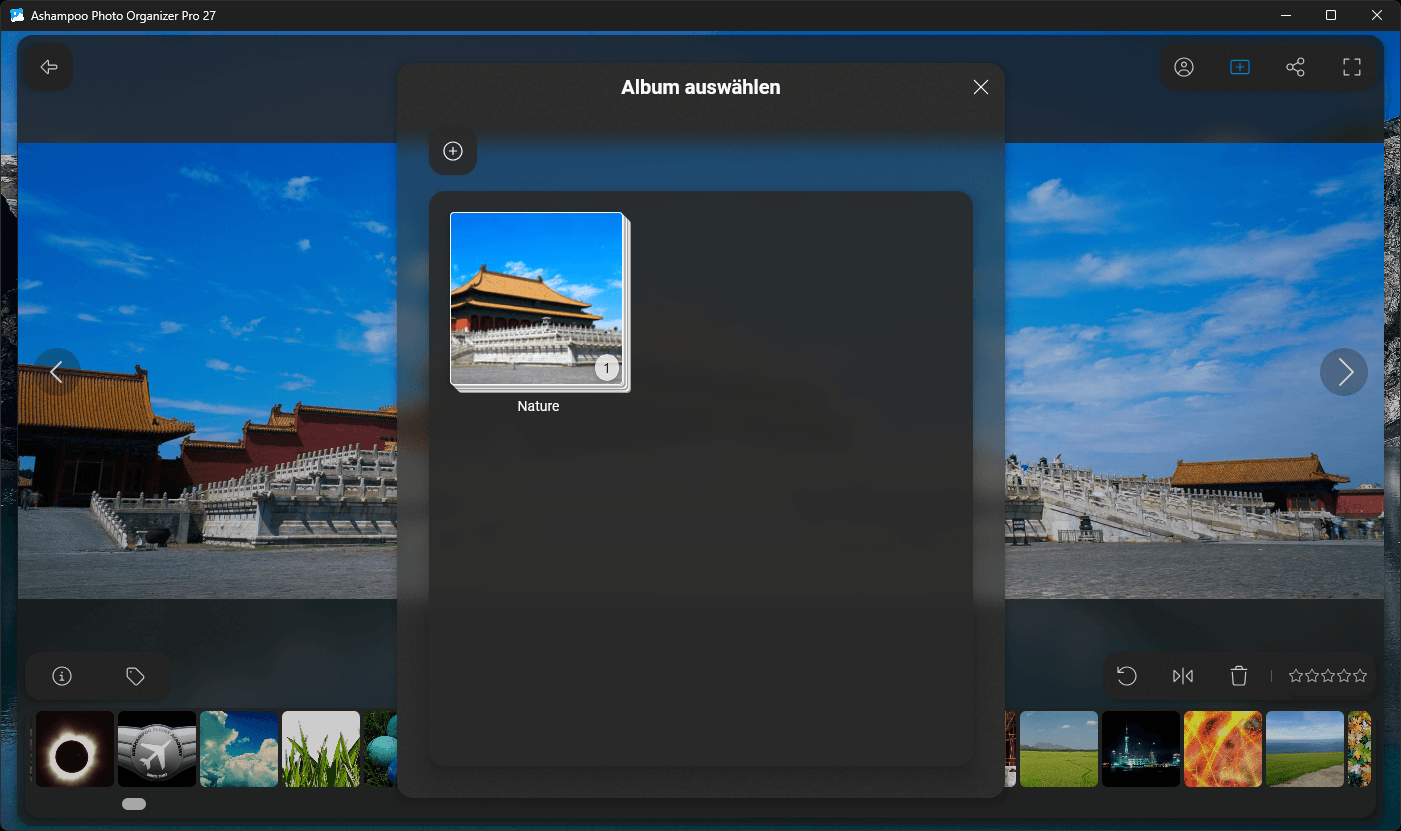 Photo Organizer Pro 27 - Album auswählen