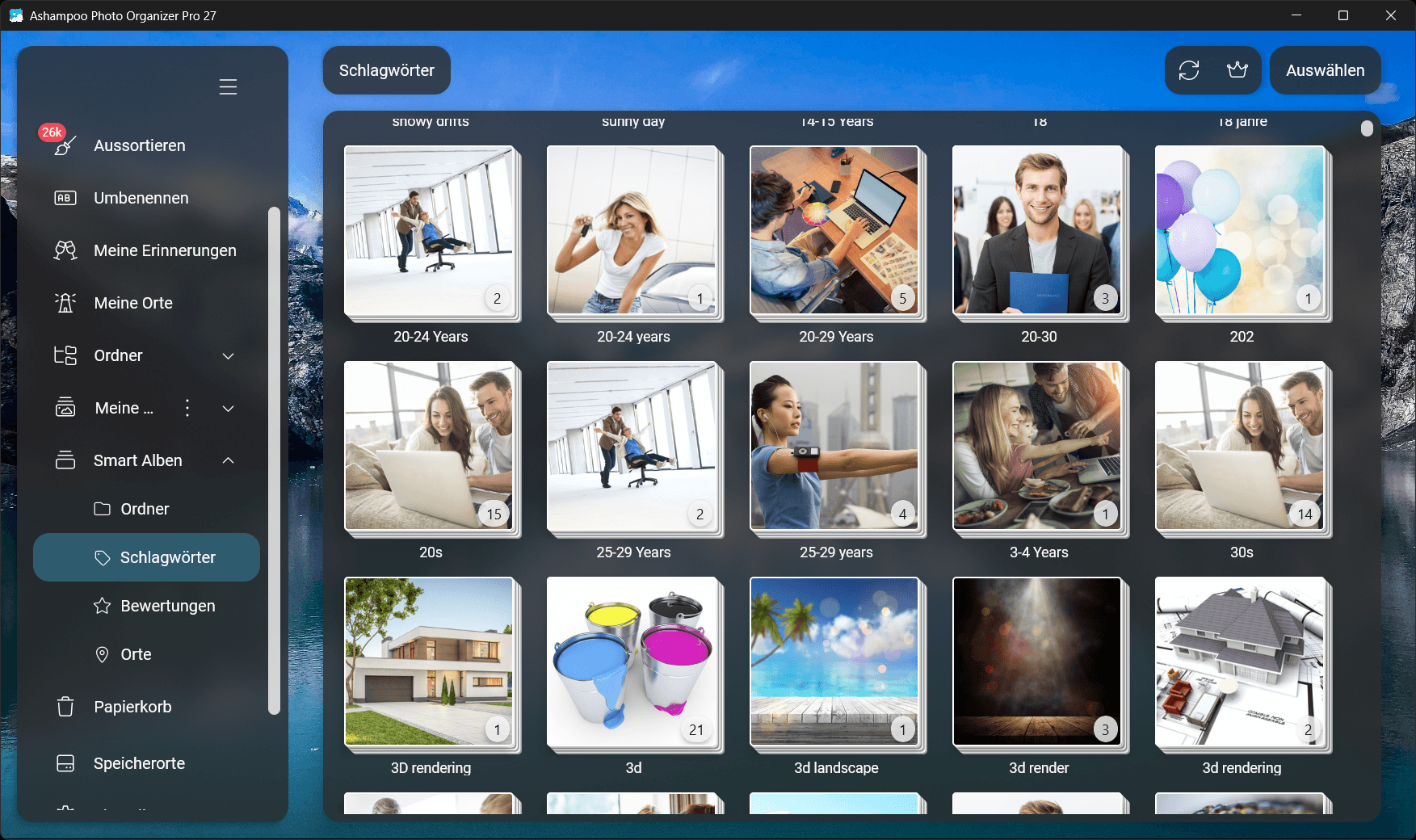 Photo Organizer Pro 27 - Schlagwörter