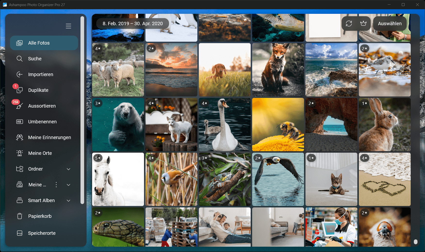 Photo Organizer Pro 27 - Start