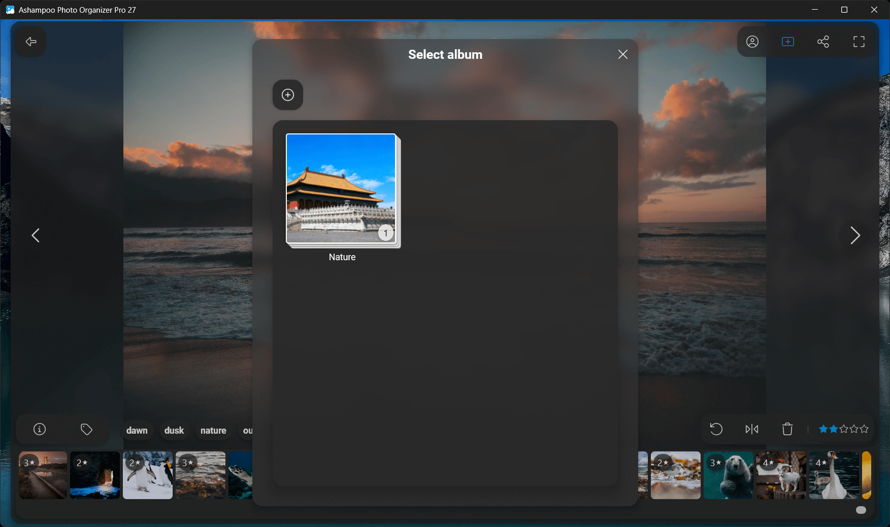 Photo Organizer Pro 27 - Select albu