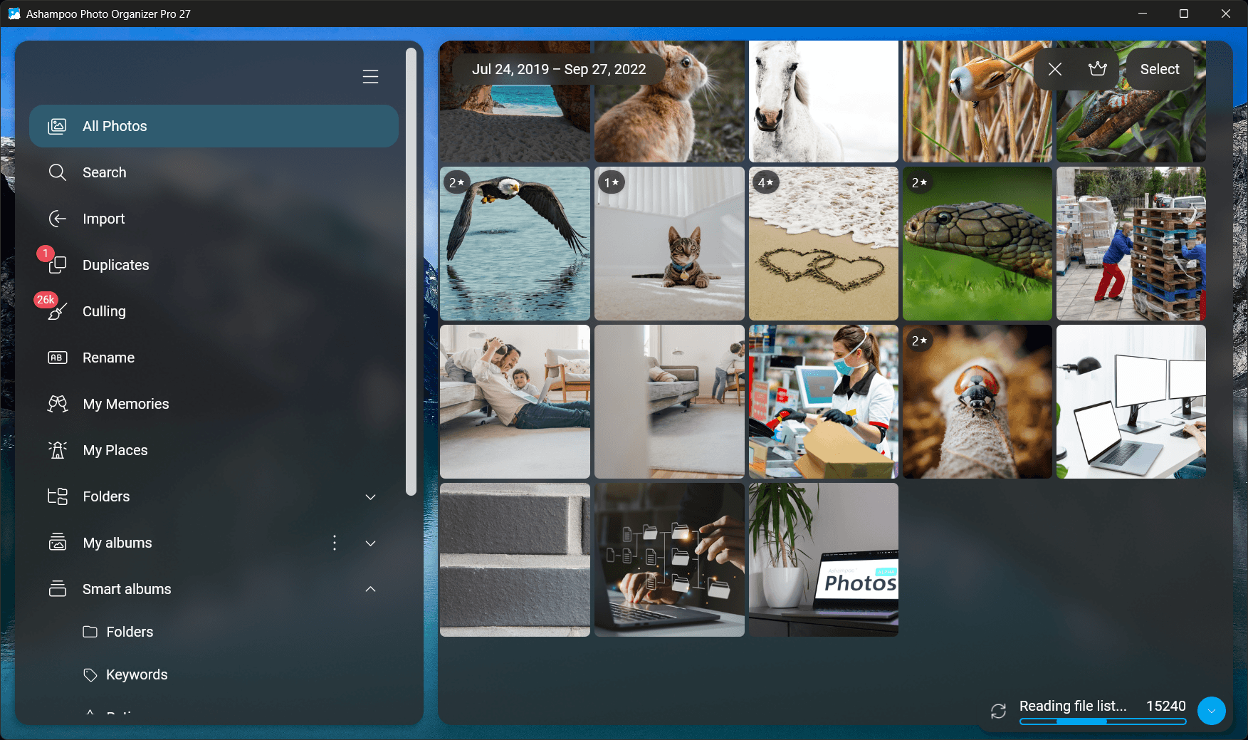 Photo Organizer Pro 27 - All photos
