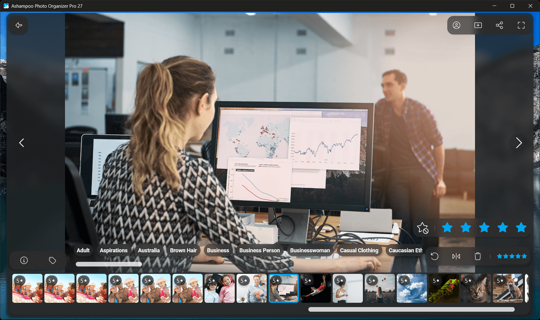 Photo Organizer Pro 27 - Tags