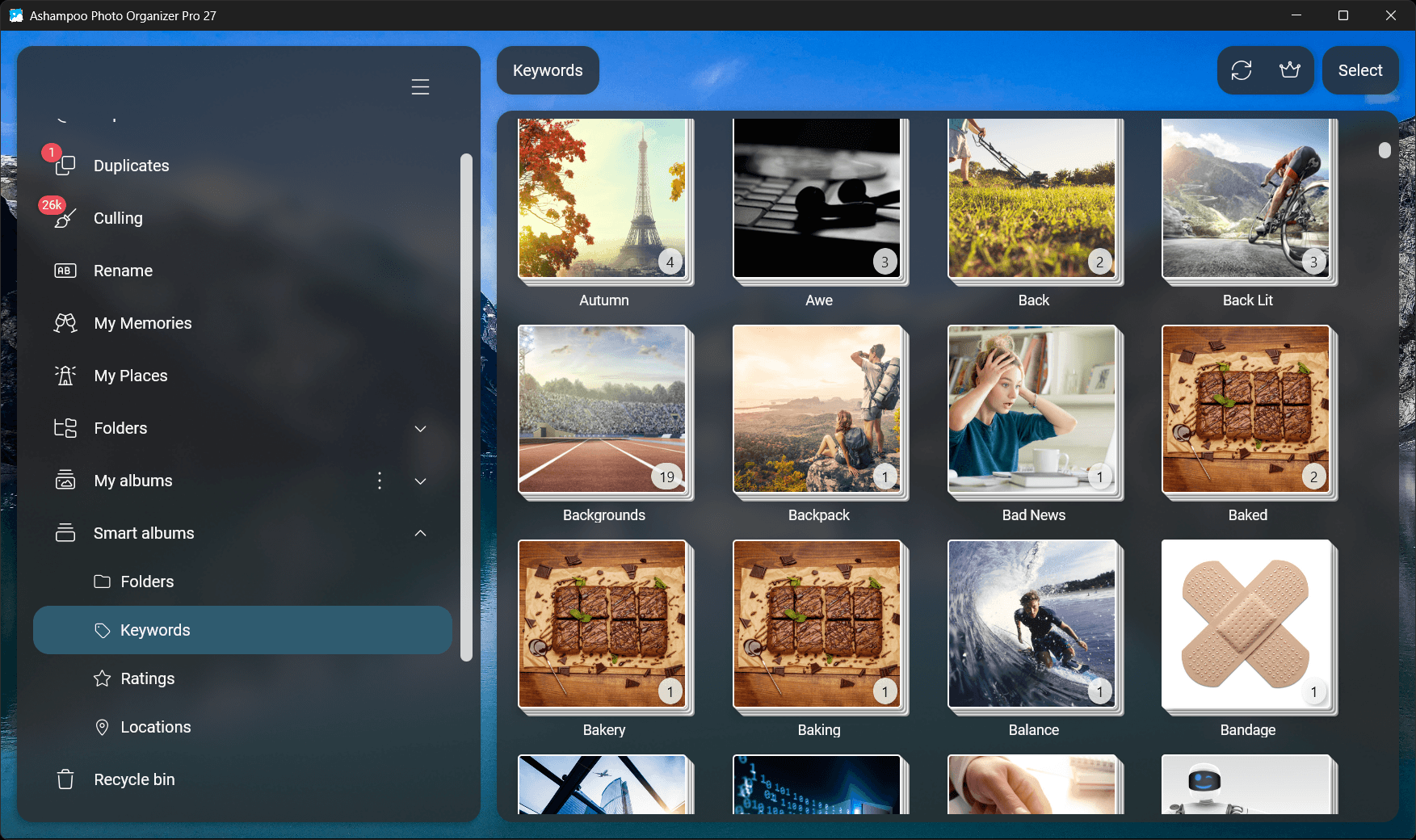 Photo Organizer Pro 27 - Keywords