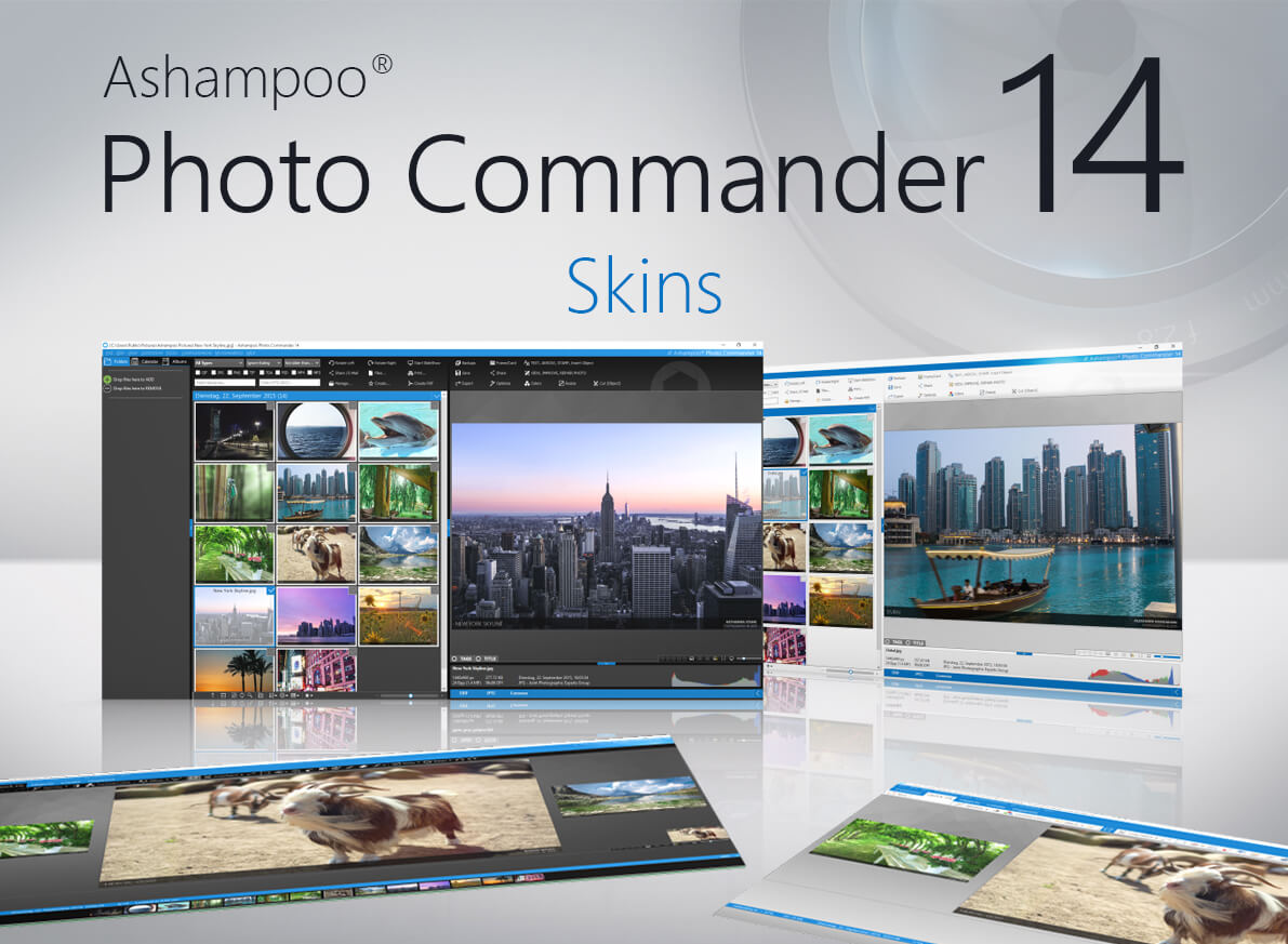 ashampoo photo commander 14 upgrade